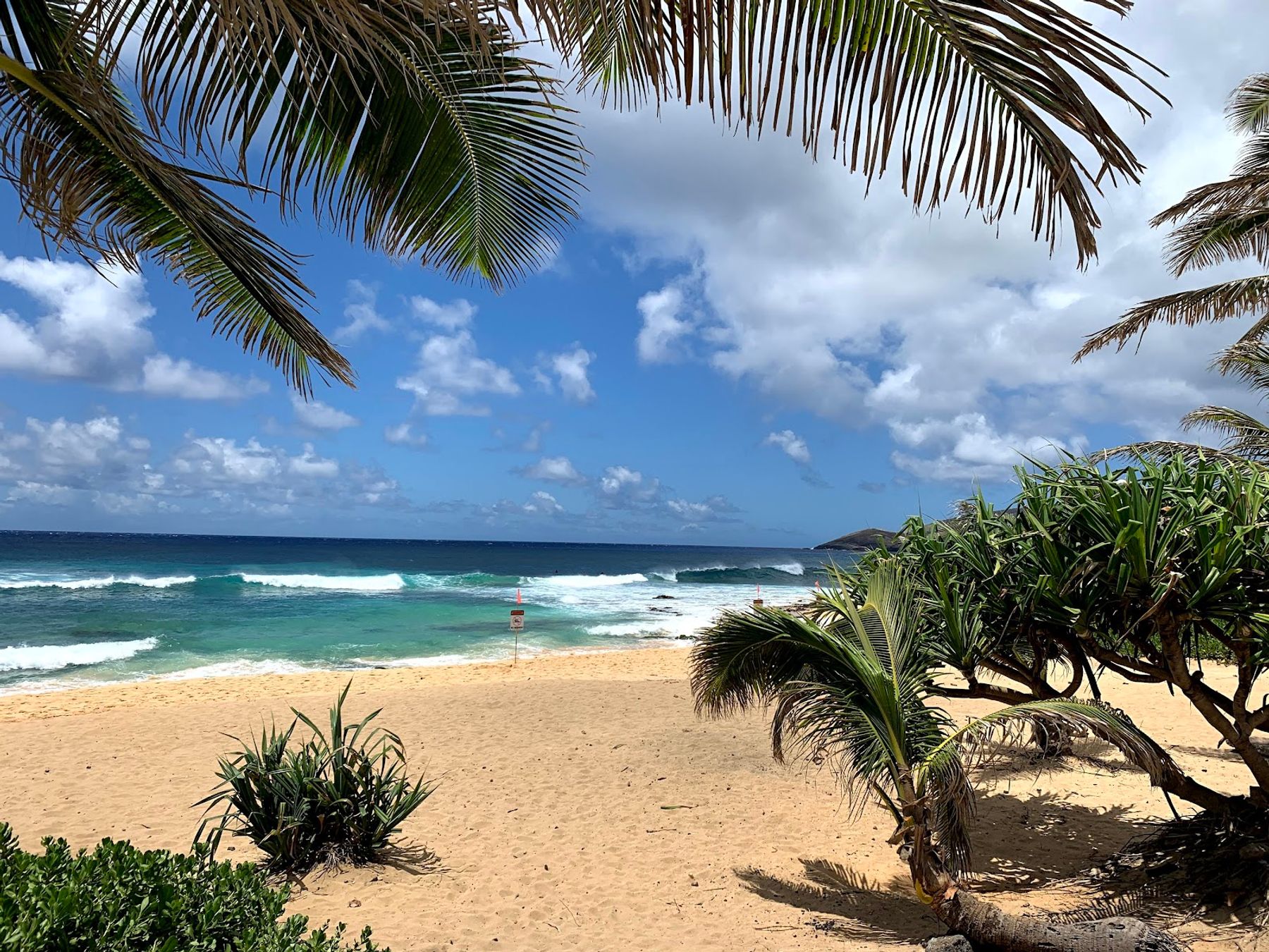 Photo 8 of Wawamalu Beach in Hawaiʻi Kai & East Honolulu, Oahu