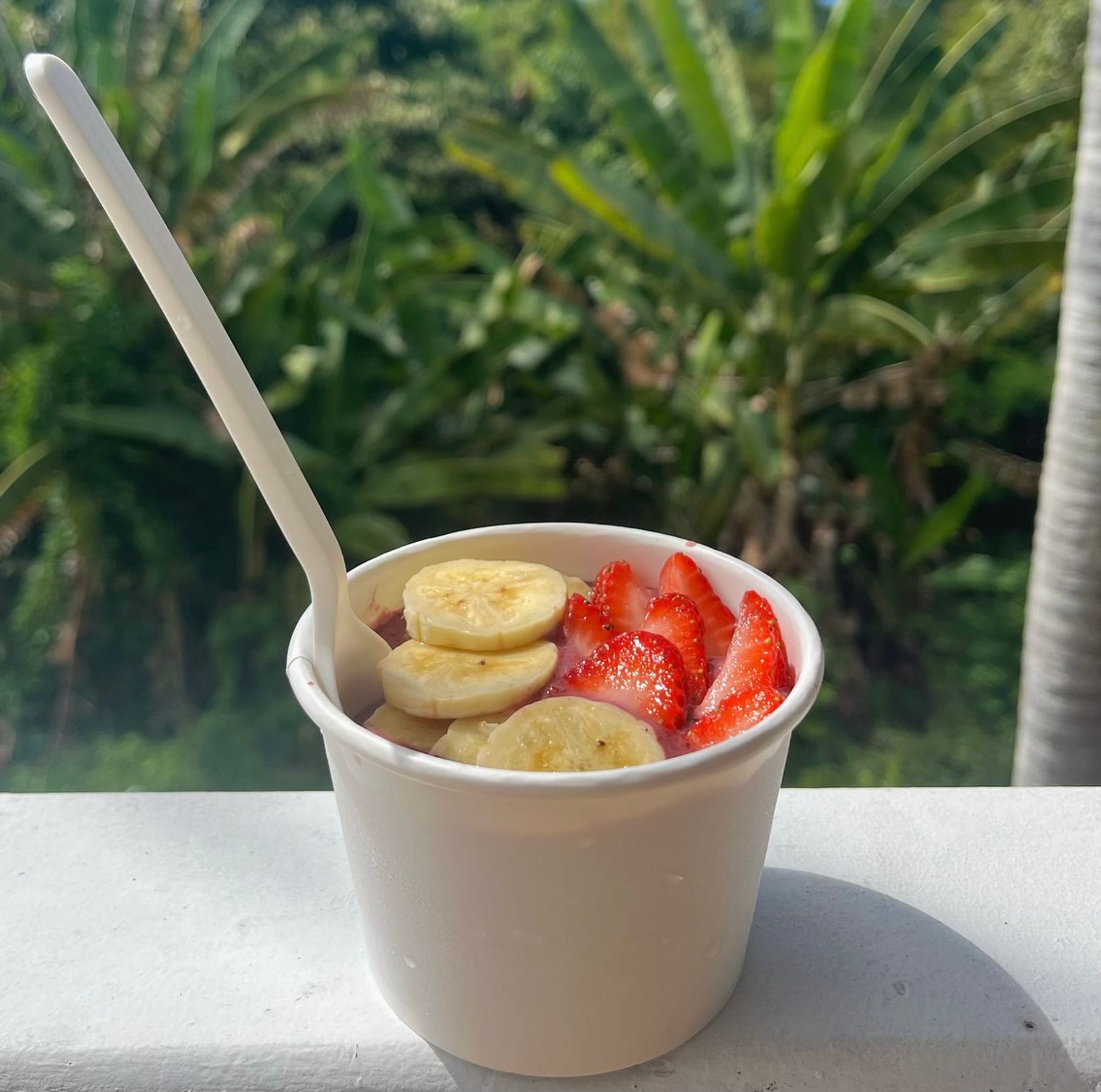 Photo 7 of South Side Acai in South Kona, Big Island