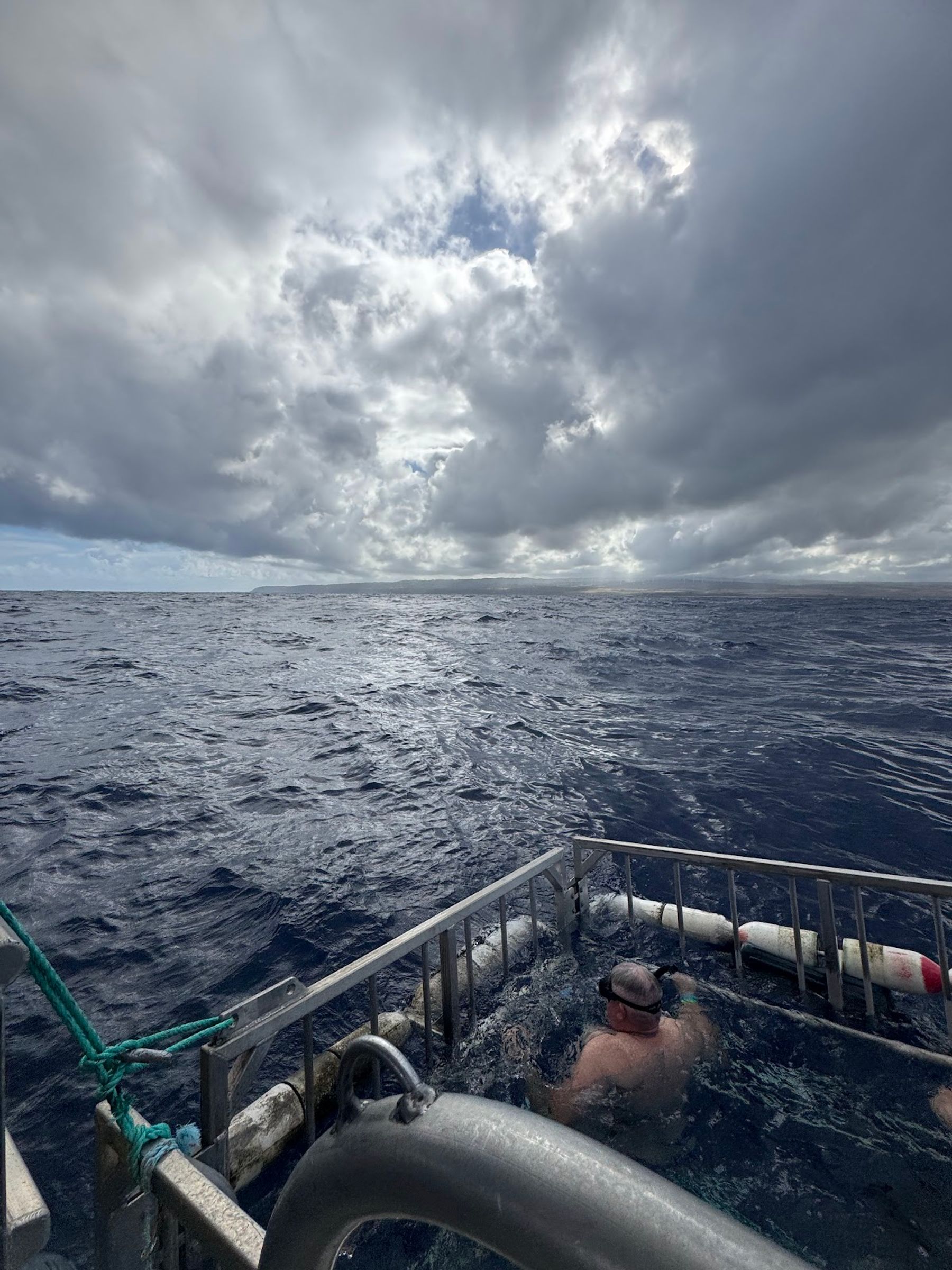 Photo 7 of Haleiwa Shark Tours in Haleʻiwa, Oahu