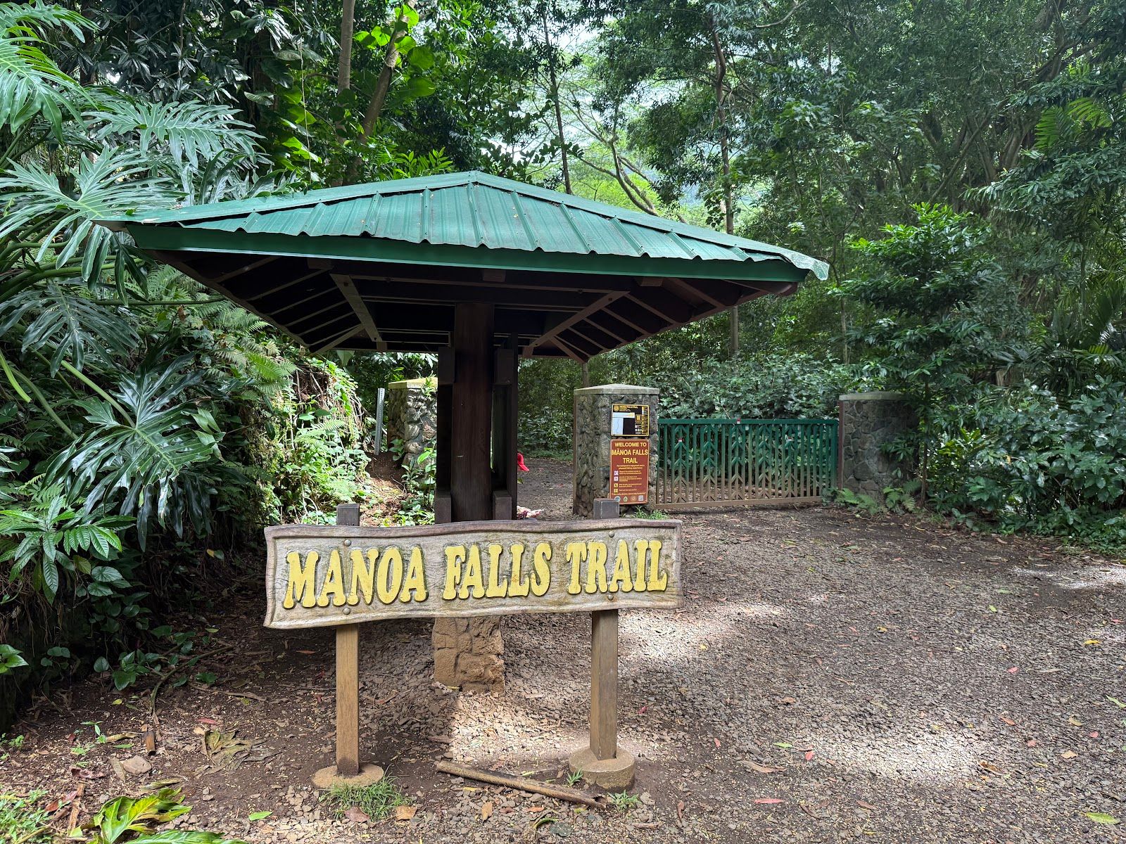 Photo 3 of Mānoa Falls Trail in Mānoa, Makiki & Nuʻuanu, Oahu