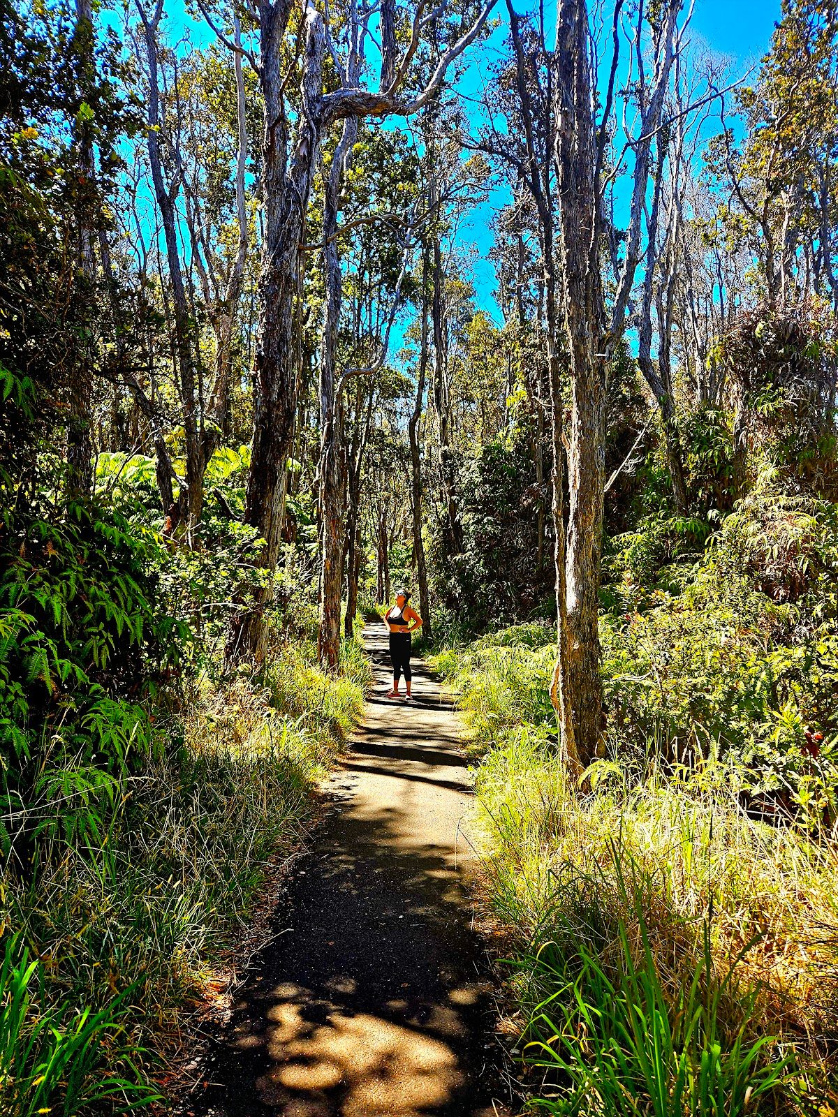 Photo 5 of Devastation Trail in Volcano, Big Island