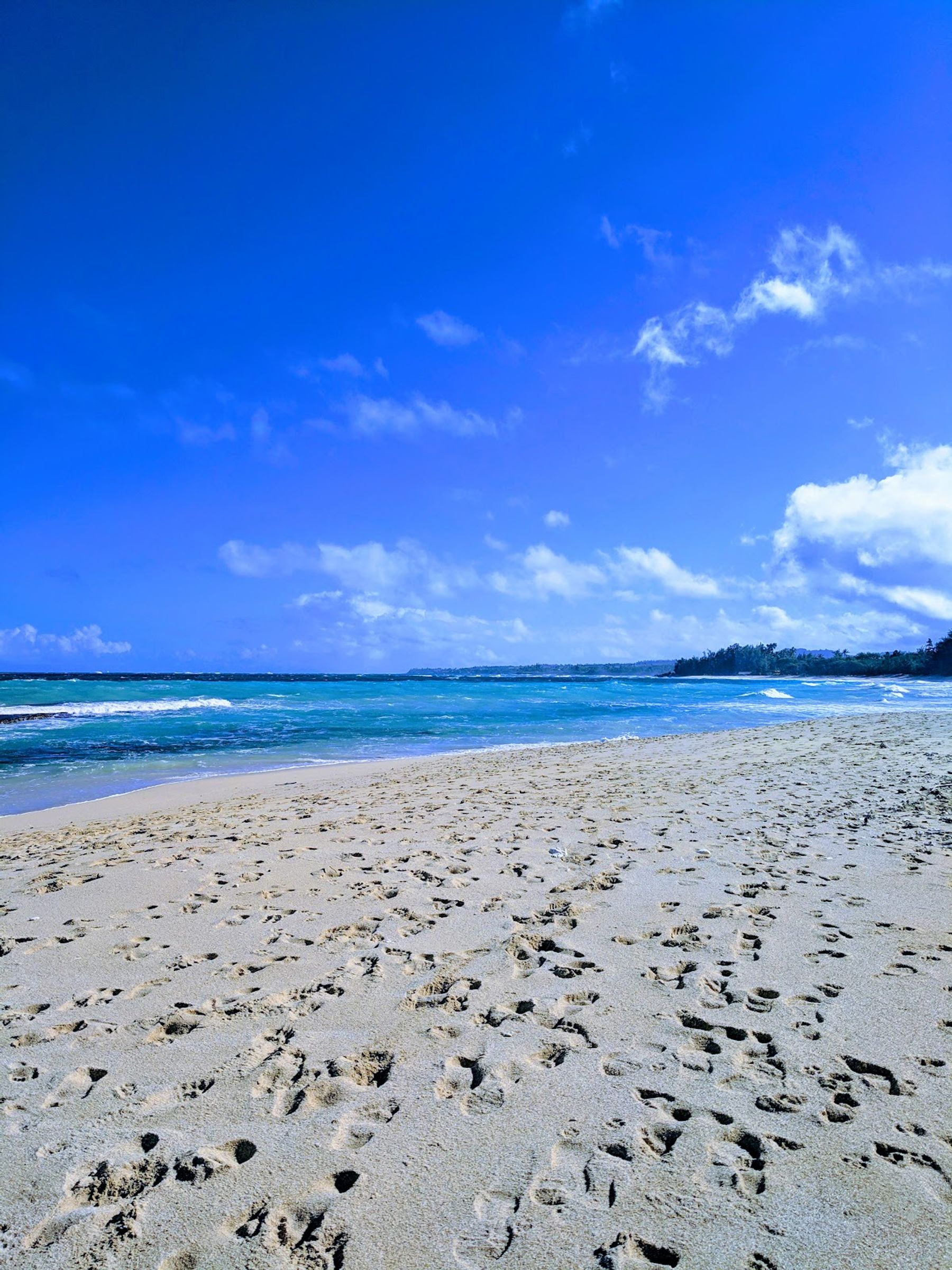 Photo 5 of Baby Beach, Sprecklesville Area in Pāʻia, Maui