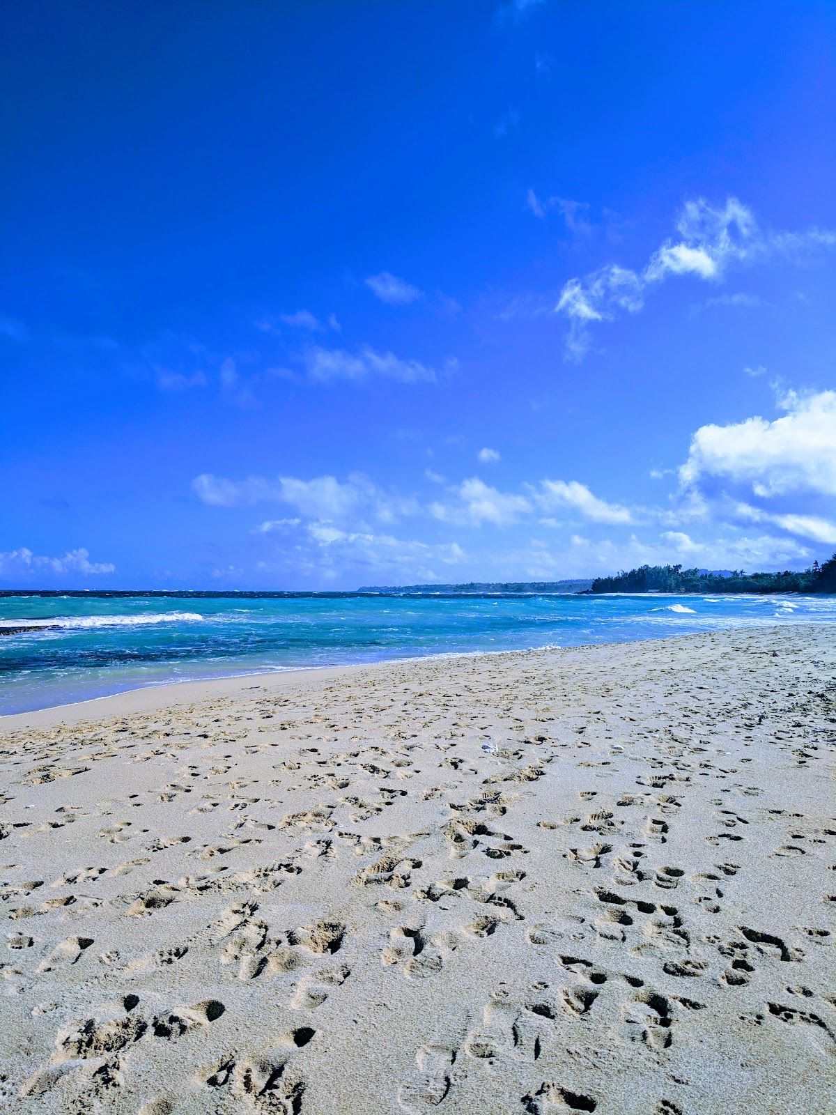 Photo 5 of Baby Beach, Sprecklesville Area in Pāʻia, Maui