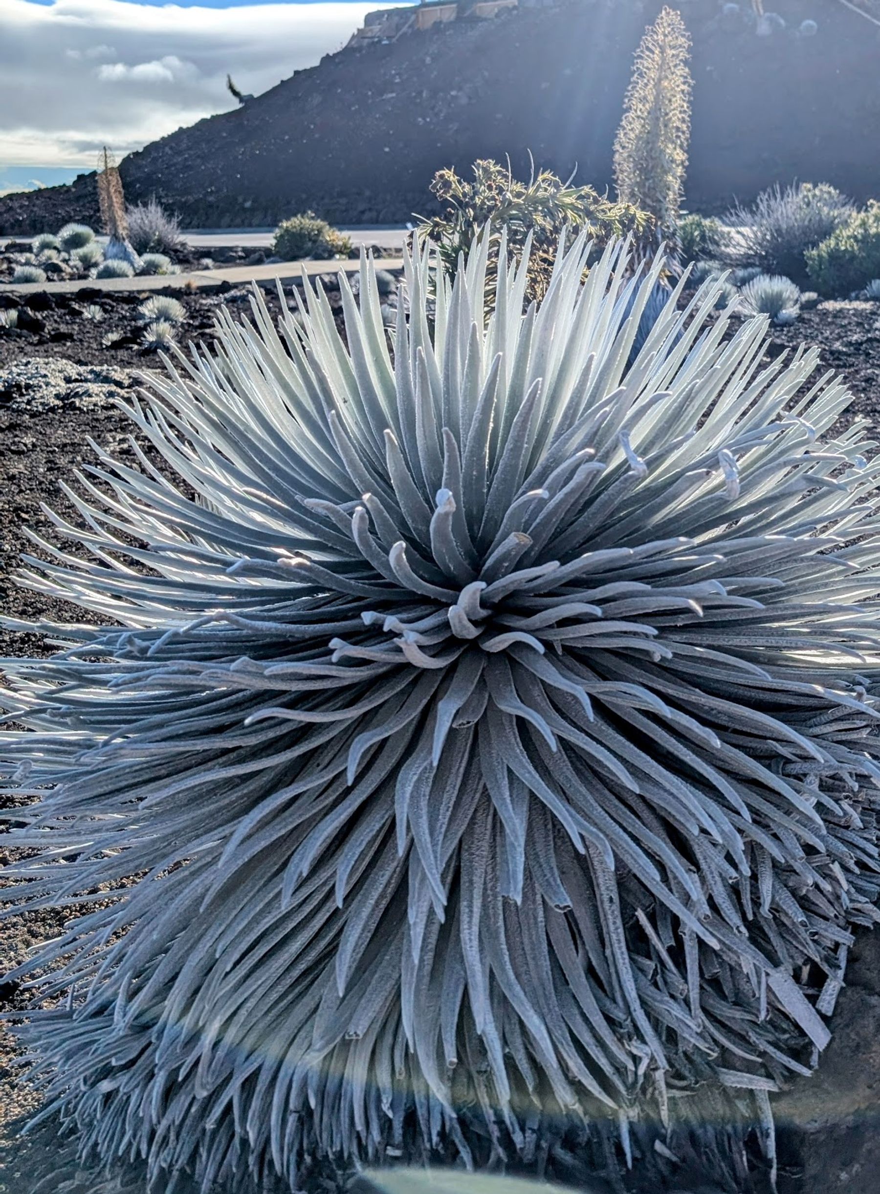 Photo 4 of Haleakalā Summit in Kula, Maui