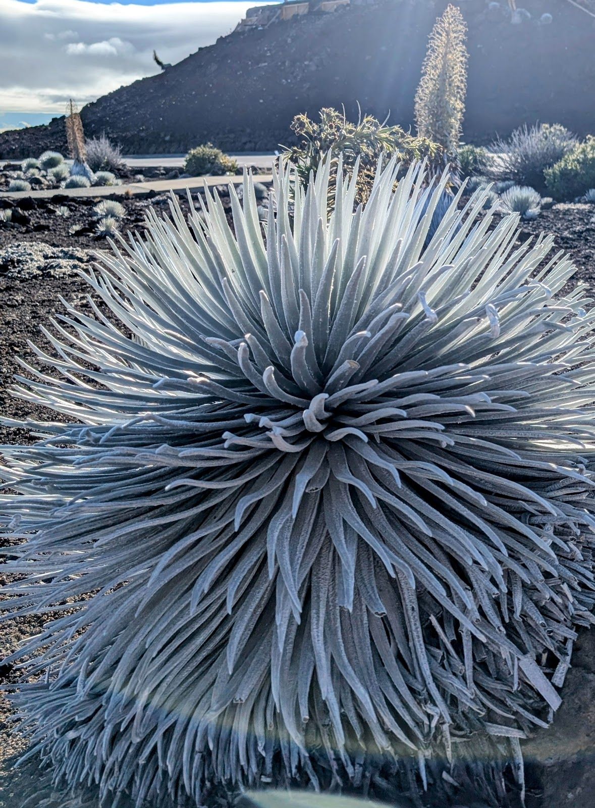 Photo 4 of Haleakalā Summit in Kula, Maui