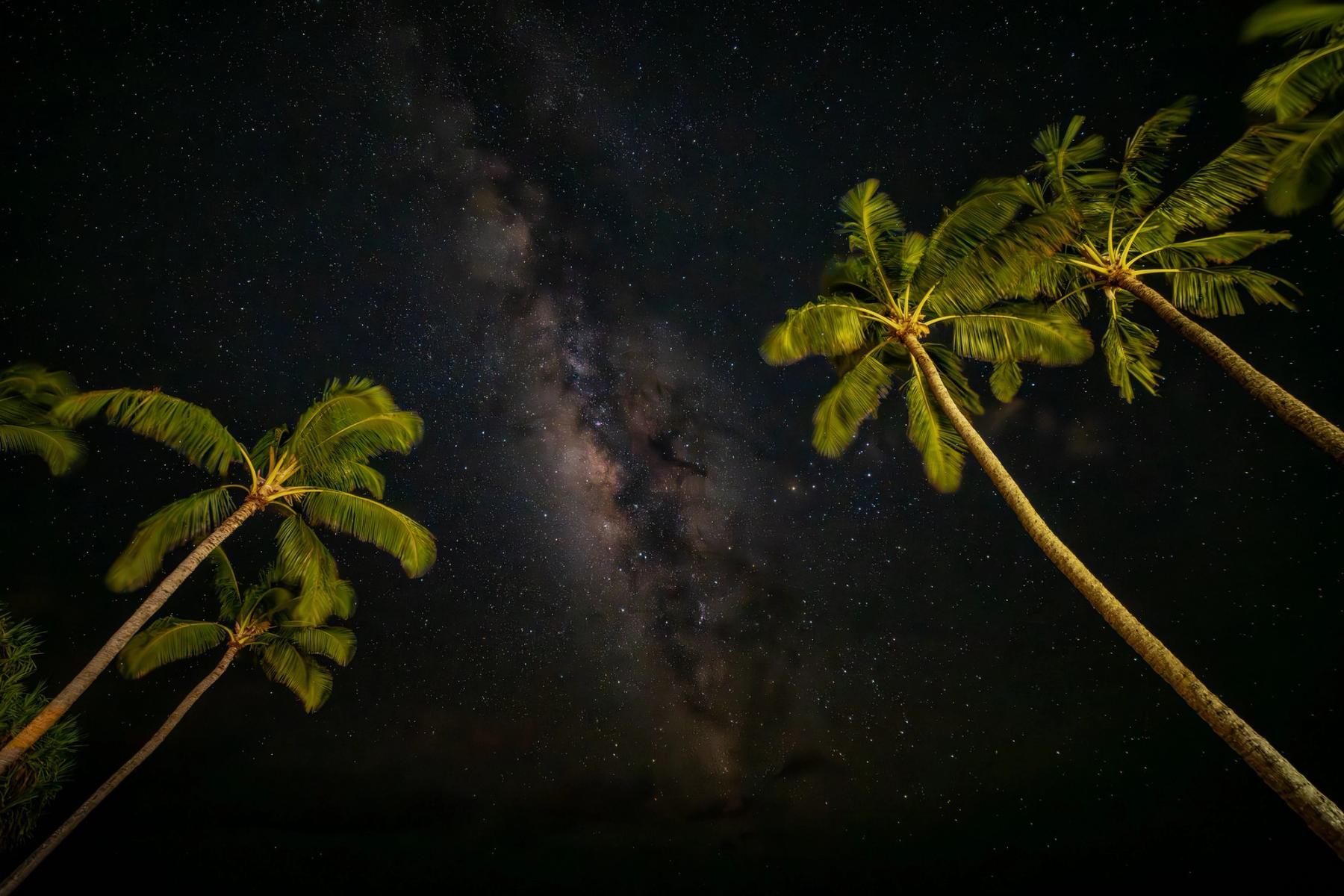 Milky Way core rising through a star-filled sky framed by tall palm trees at night in Poʻipū, Kauaʻi
