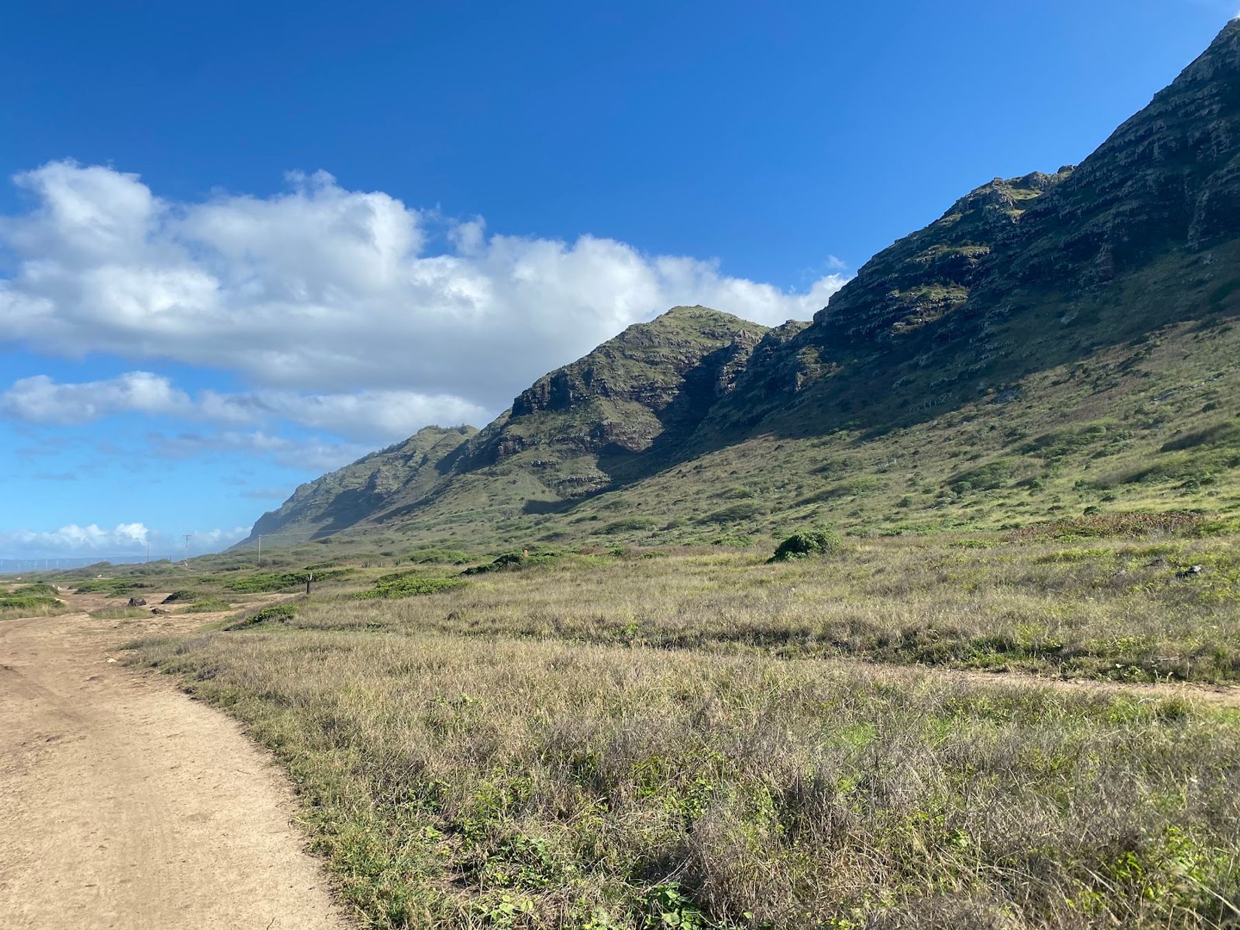 Photo 10 of Kaʻena Point Trail in Waialua & Mokulēʻia, Oahu