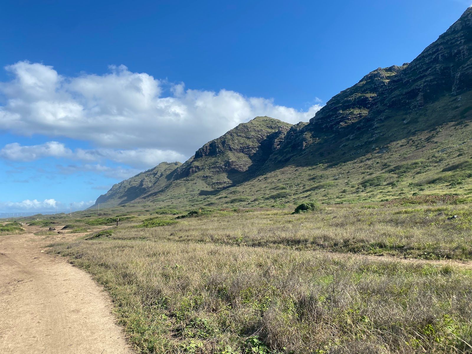 Photo 10 of Kaʻena Point Trail in Waialua & Mokulēʻia, Oahu