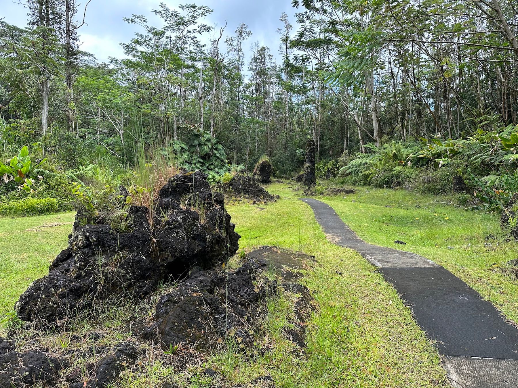 Photo 7 of Lava Tree State Monument in Pāhoa, Big Island
