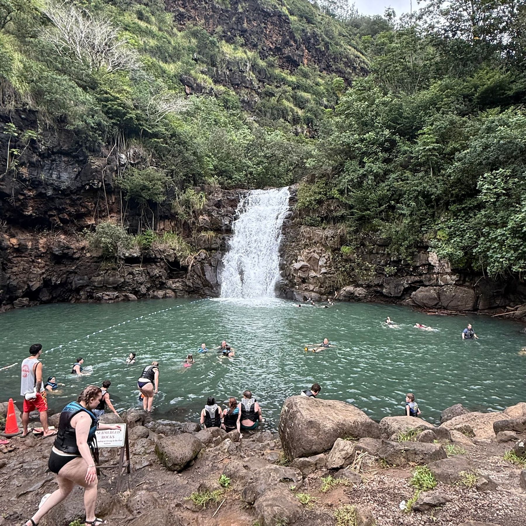 Photo 6 of Best Oahu Tours by AYC in Waikīkī, Oahu