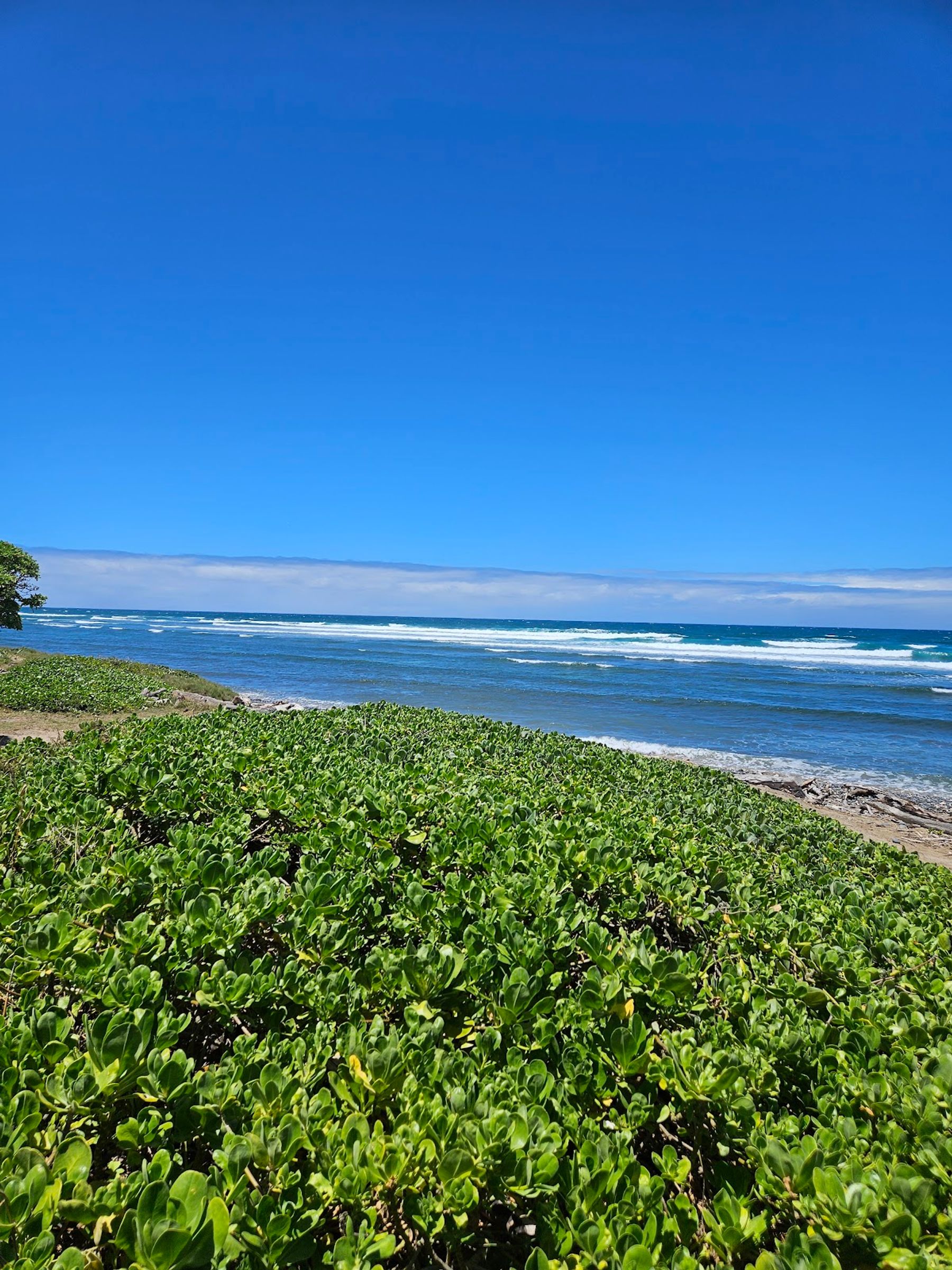 Photo 6 of Waiehu Beach Park in Wailuku, Maui