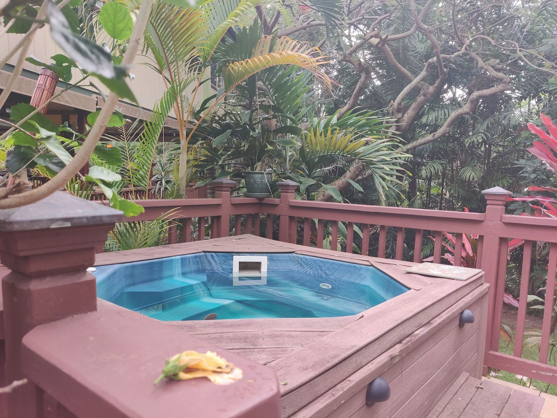 Photo 2 of Honu Kai Bed & Breakfast in Kailua-Kona, Big-island
