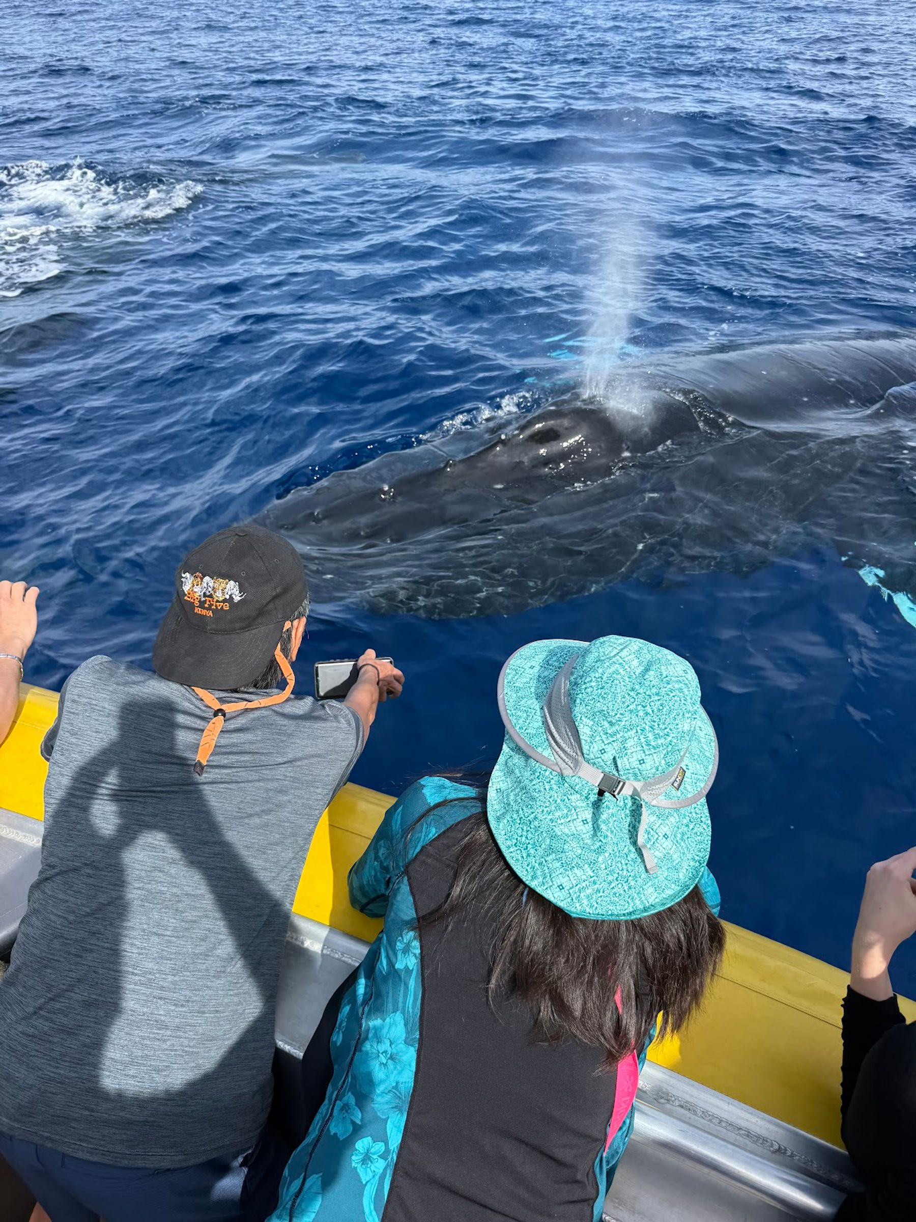 Photo 3 of Makai Adventures - WHALES GUARANTEED! Maui Whale Watching, Dolphins, Snorkeling, Private Charters in Lāhainā, Maui