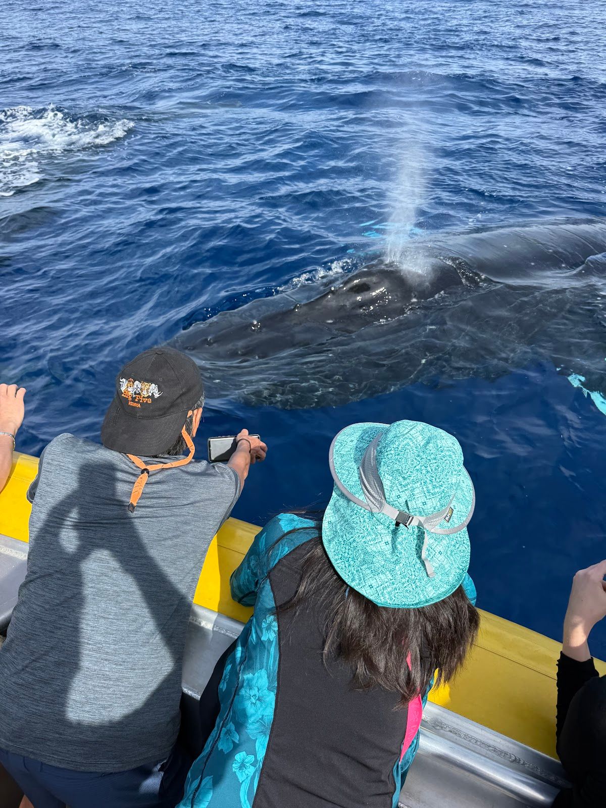 Photo 3 of Makai Adventures - WHALES GUARANTEED! Maui Whale Watching, Dolphins, Snorkeling, Private Charters in Lāhainā, Maui