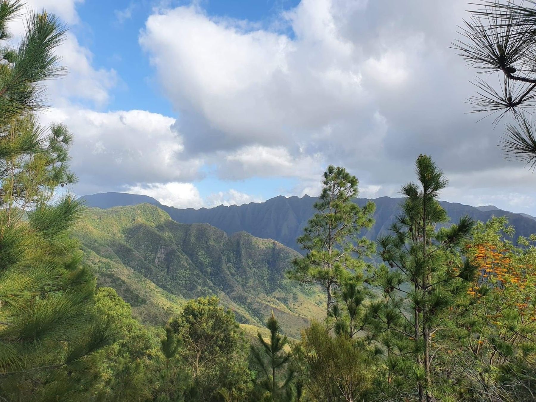Photo 1 of Keālia Trail in Waialua & Mokulēʻia, Oahu
