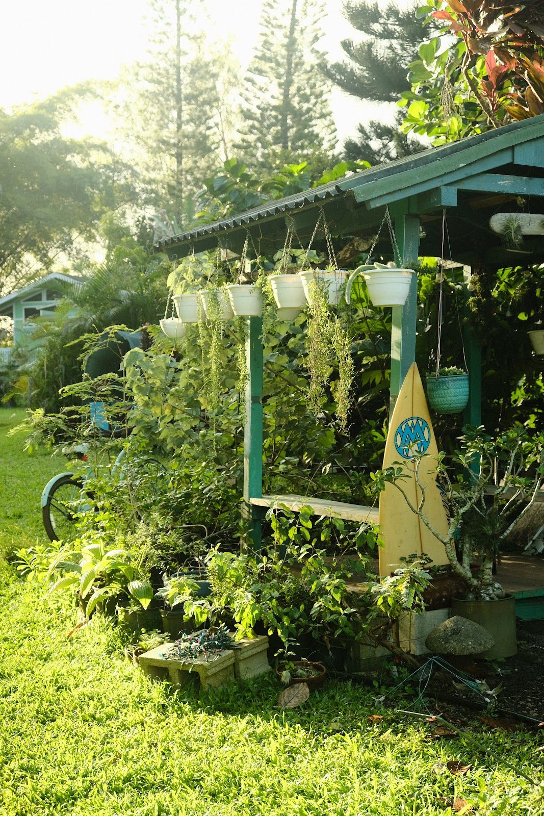 Photo 6 of Nanea Coffee in Kīlauea, Kauai