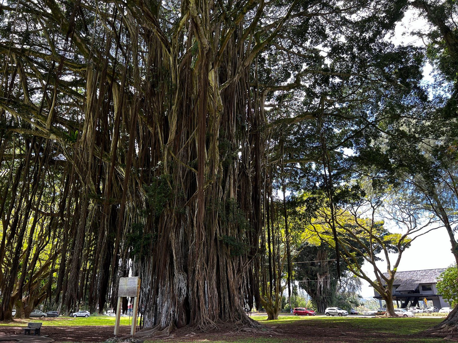 Photo 9 of Friends of Lili'uokalani Gardens in Hilo, Big Island