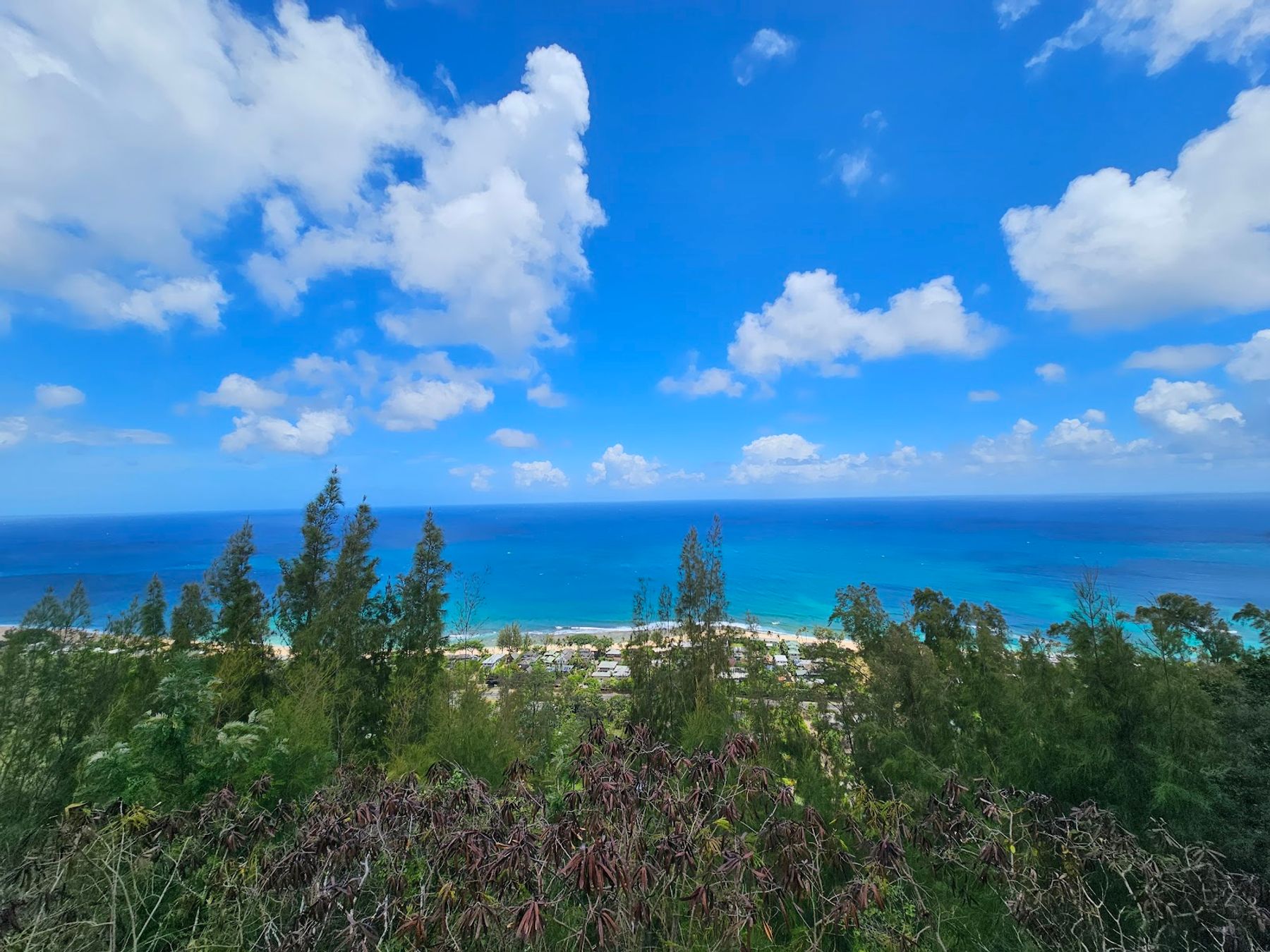 Photo 4 of ʻEhukai Pillbox Trail in Pūpūkea, Oahu