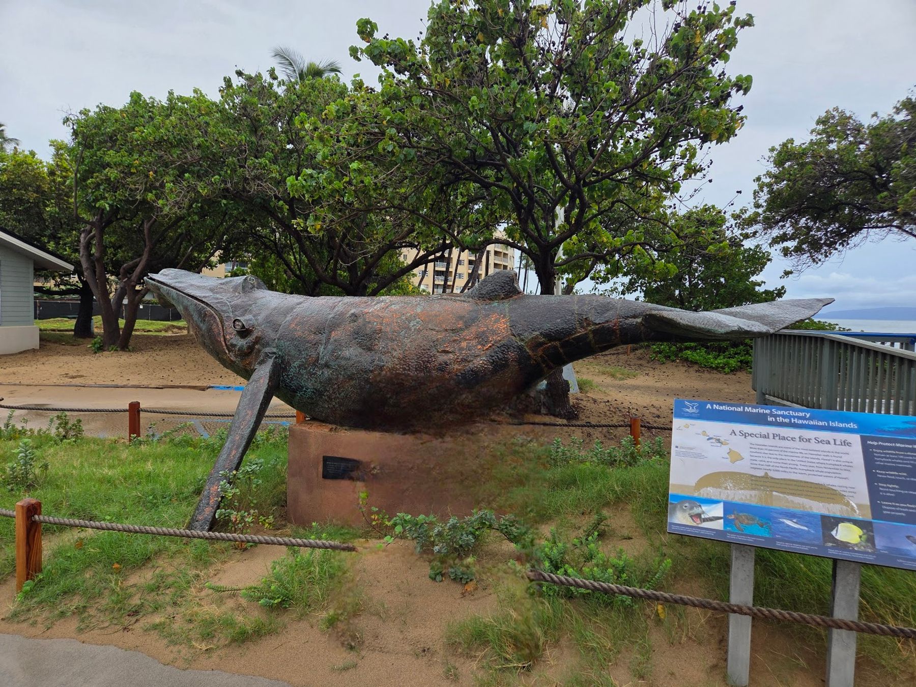 Photo 4 of Hawaiian Islands Humpback Whale National Marine Sanctuary Visitor Center in Kīhei, Maui