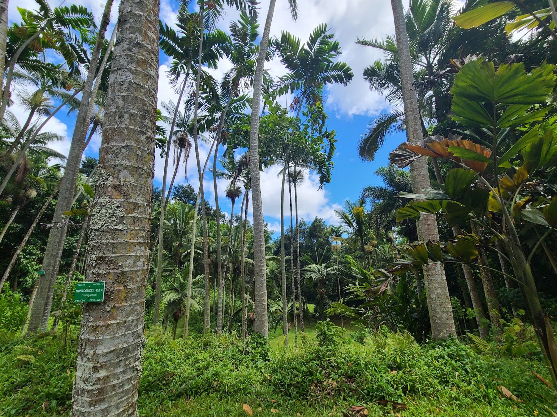 Photo 10 of Hoʻomaluhia Botanical Garden in Kāneʻohe, Oahu