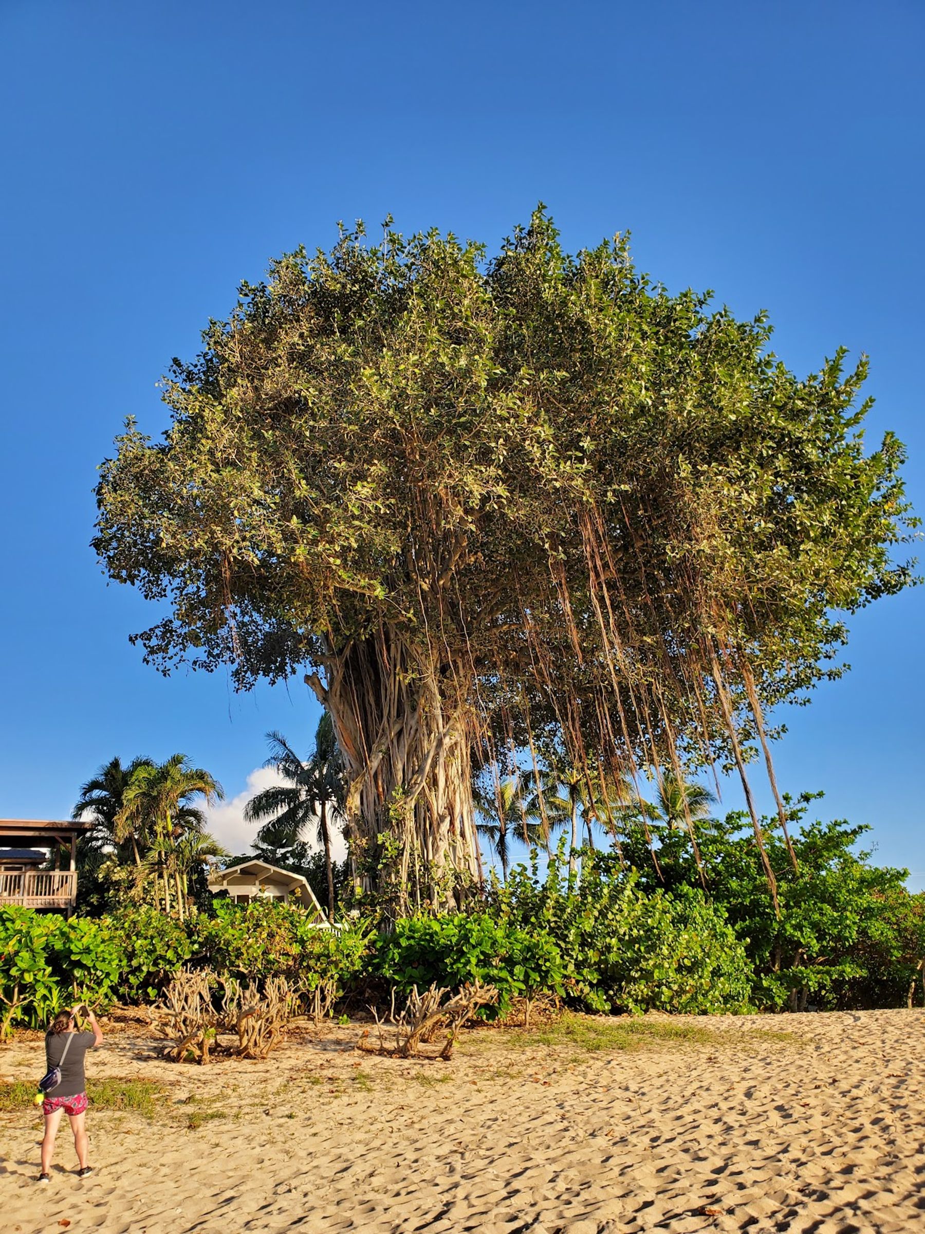 Photo 7 of Pūpūkea Beach Park in Pūpūkea, Oahu