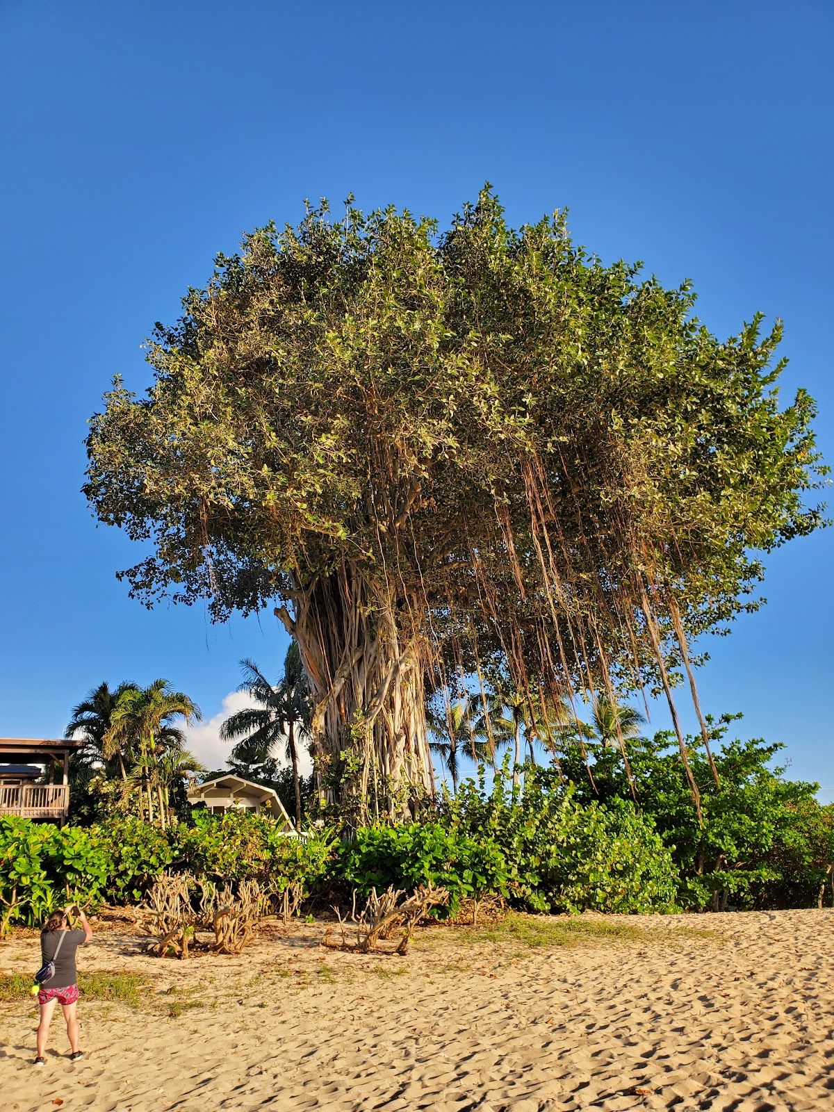 Photo 7 of Pūpūkea Beach Park in Pūpūkea, Oahu