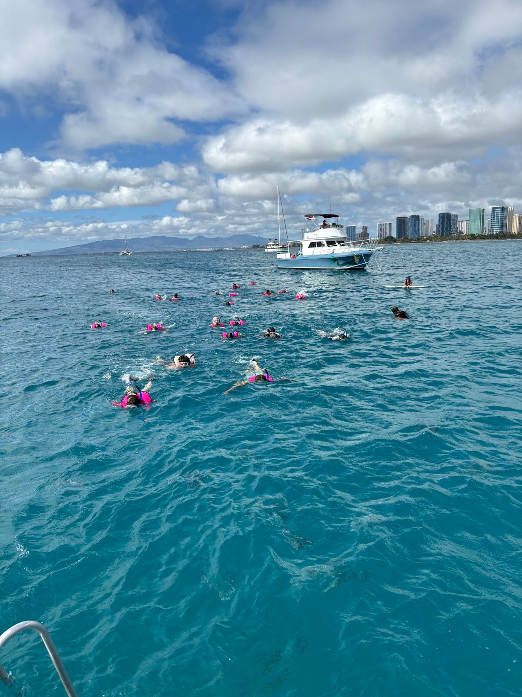 Photo 8 of Living Ocean Tours in Ala Moana & Mōʻiliʻili, Oahu