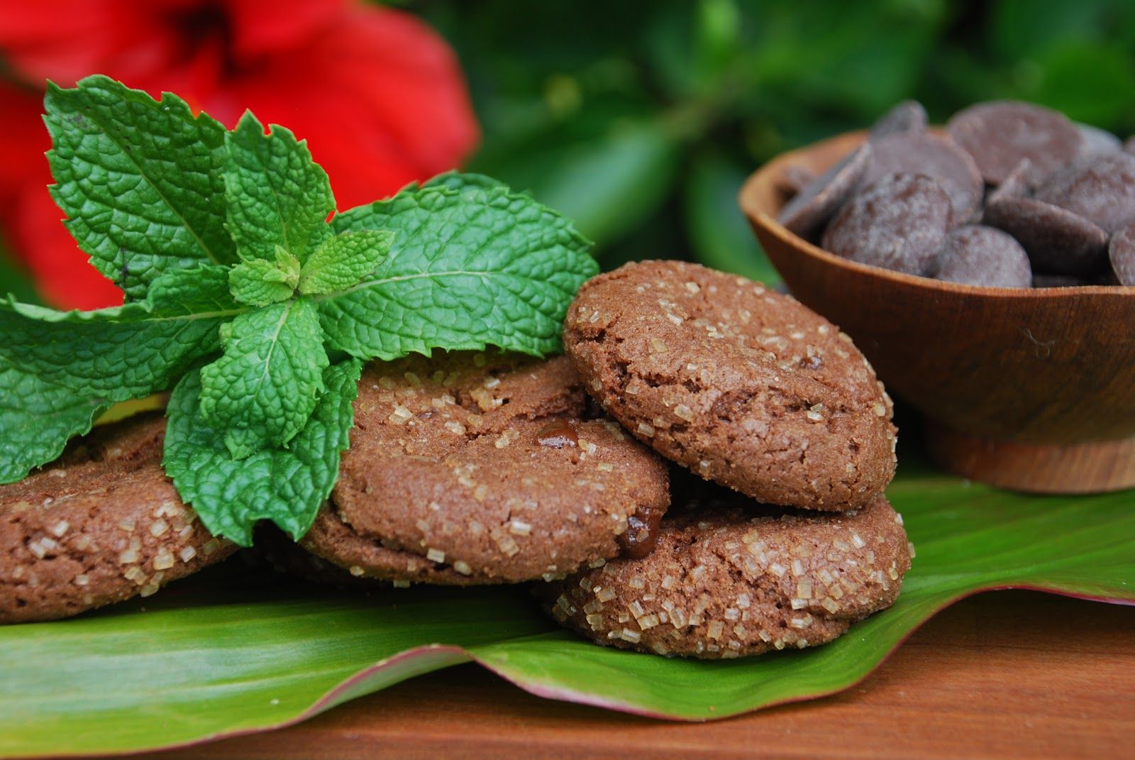 Photo 2 of Ko Bakery in Līhuʻe, Kauai