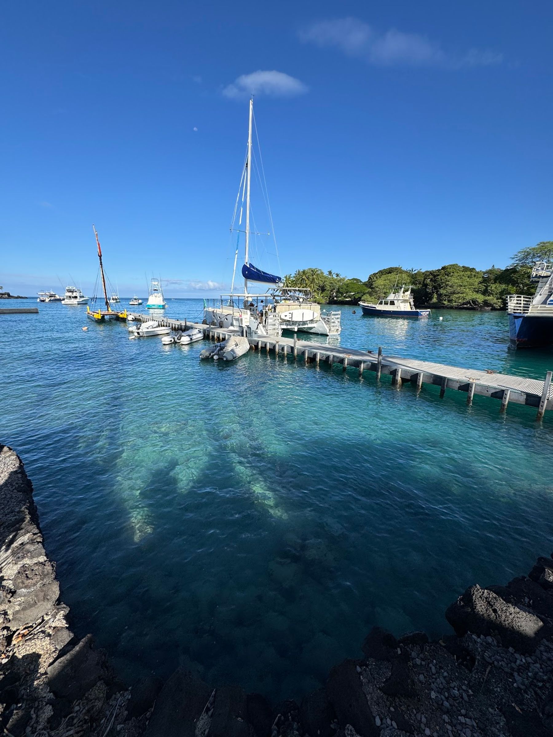 Photo 8 of Fair Wind Cruises in Kailua-Kona, Big Island