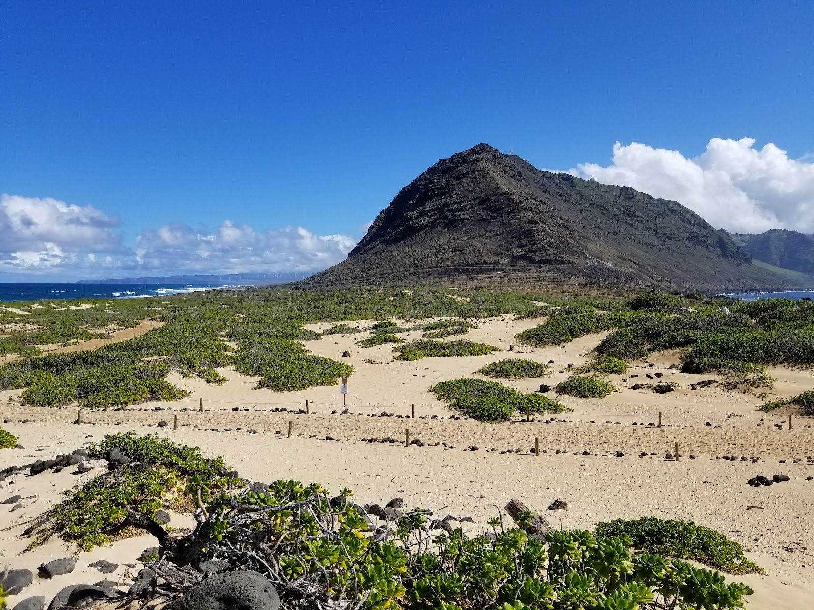 Photo 1 of Kaʻena Point Trail in Waialua & Mokulēʻia, Oahu