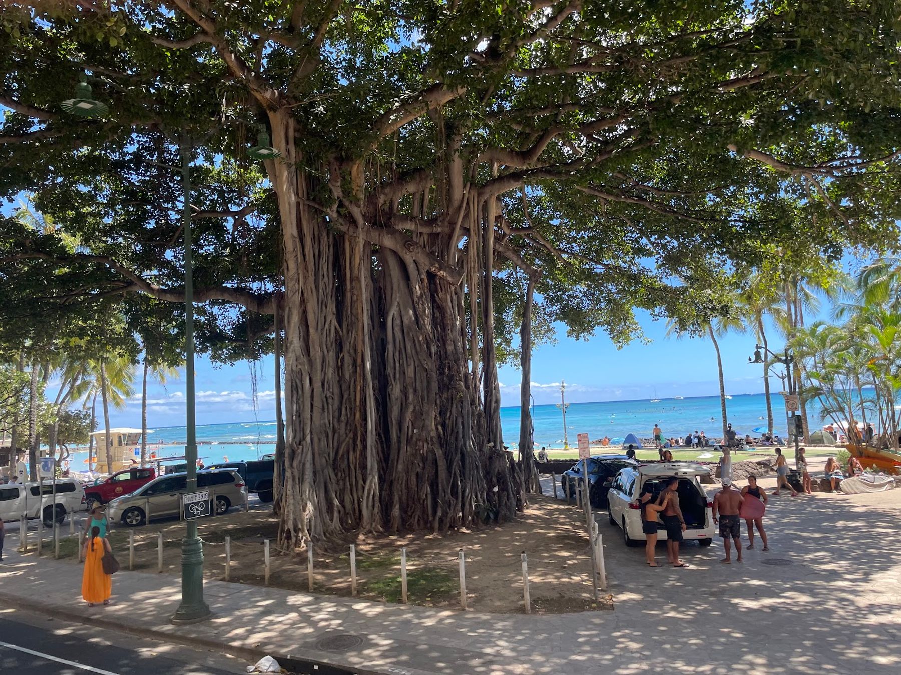 Photo 4 of Waikīkī Beach in Waikīkī, Oahu