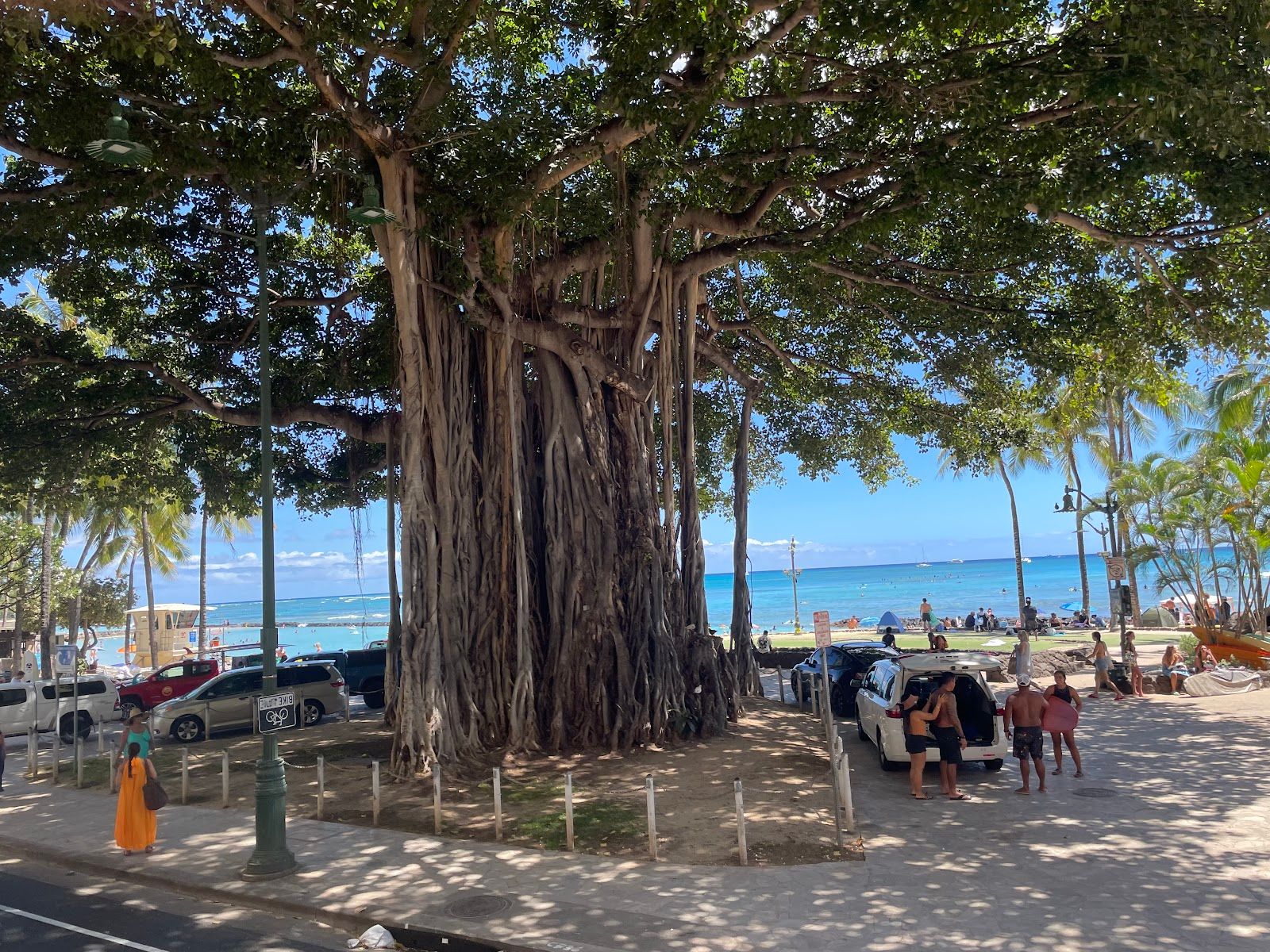 Photo 4 of Waikīkī Beach in Waikīkī, Oahu