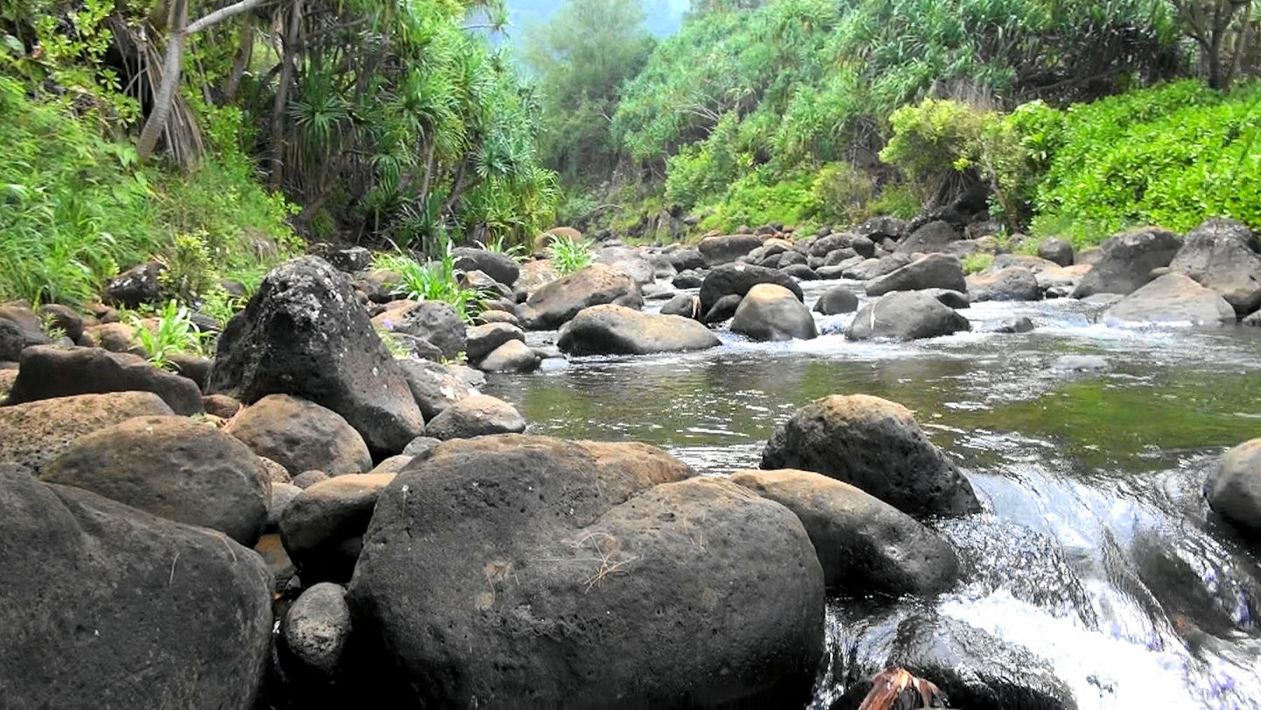 Hanakapiai Falls in Haena, Kaua‘i photo 4