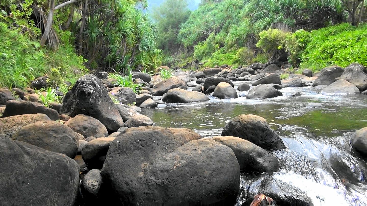 Hanakapiai Falls in Haena, Kaua‘i photo 4