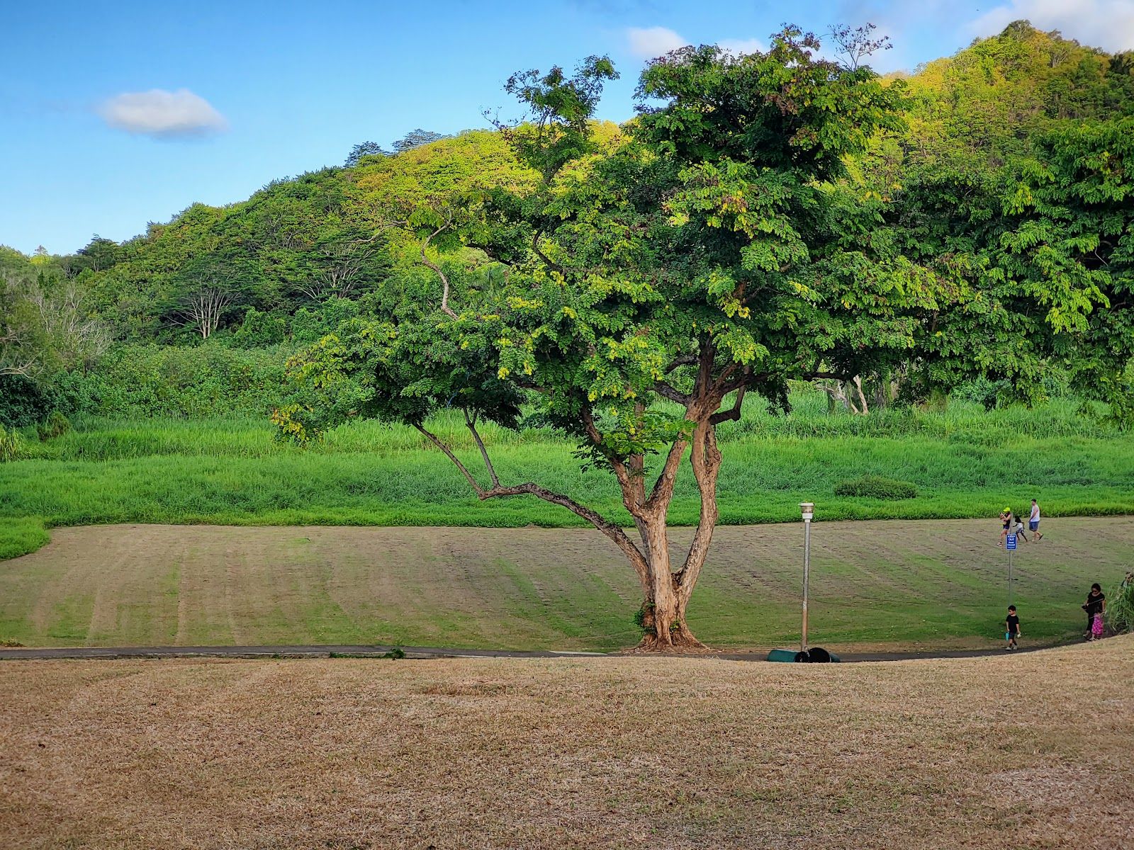 Photo 5 of Kalama Beach Park in Kailua & Lanikai, Oahu