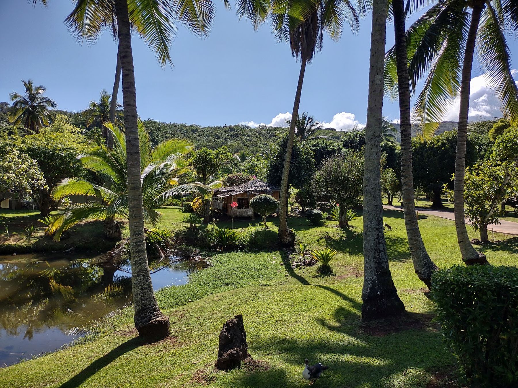 Photo 10 of Smith's Tropical Paradise in Kapaʻa, Kauai