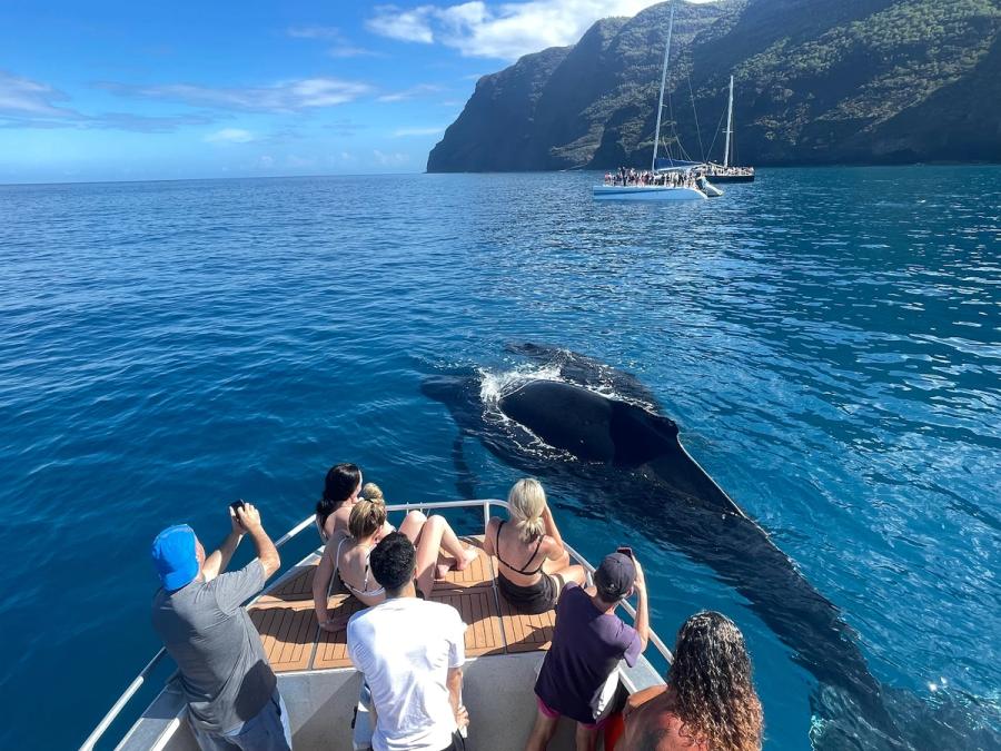 Makana Charters in Waimea, Kaua‘i