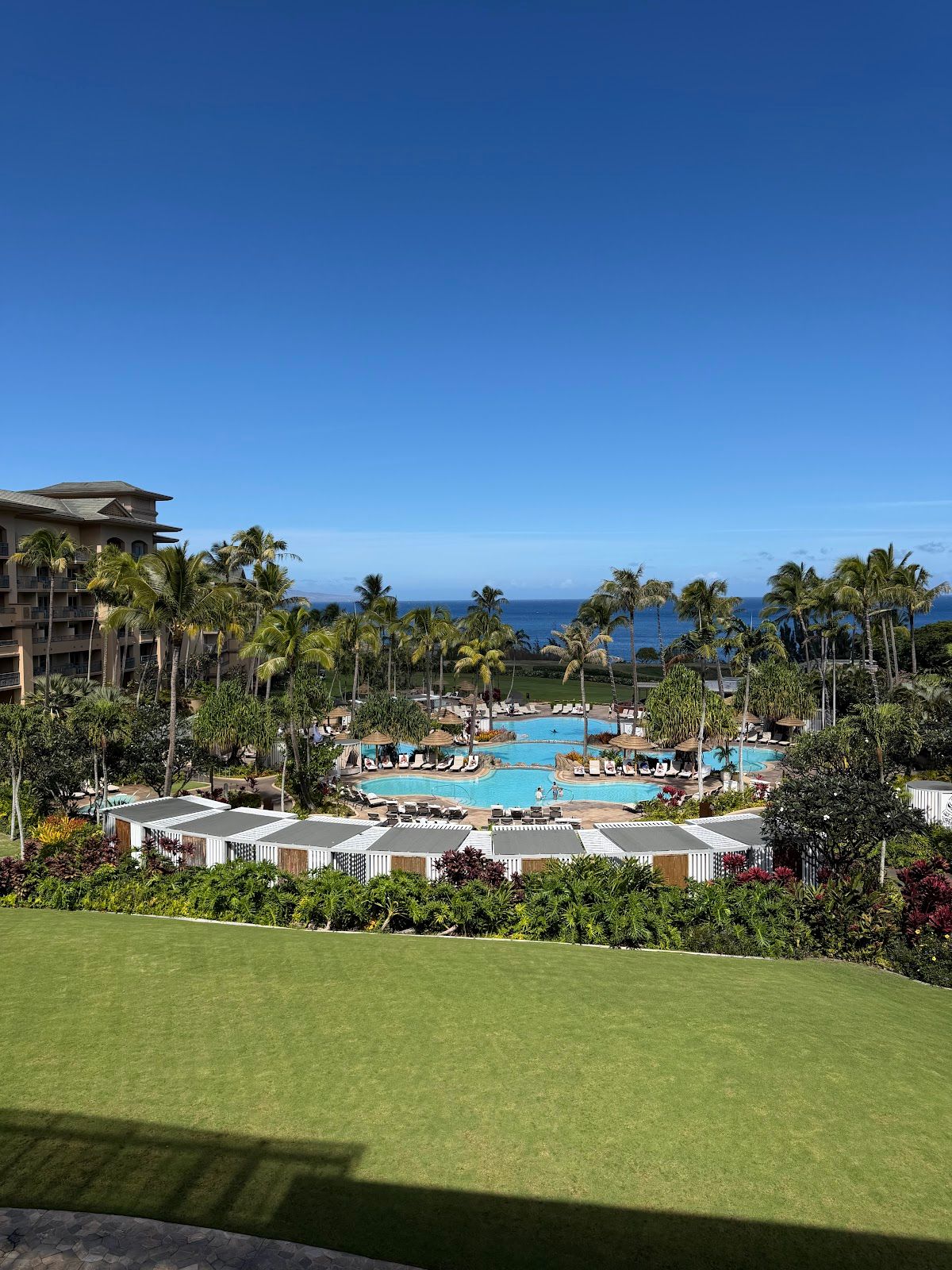 Photo 6 of The Banyan Tree in Kapalua, Maui