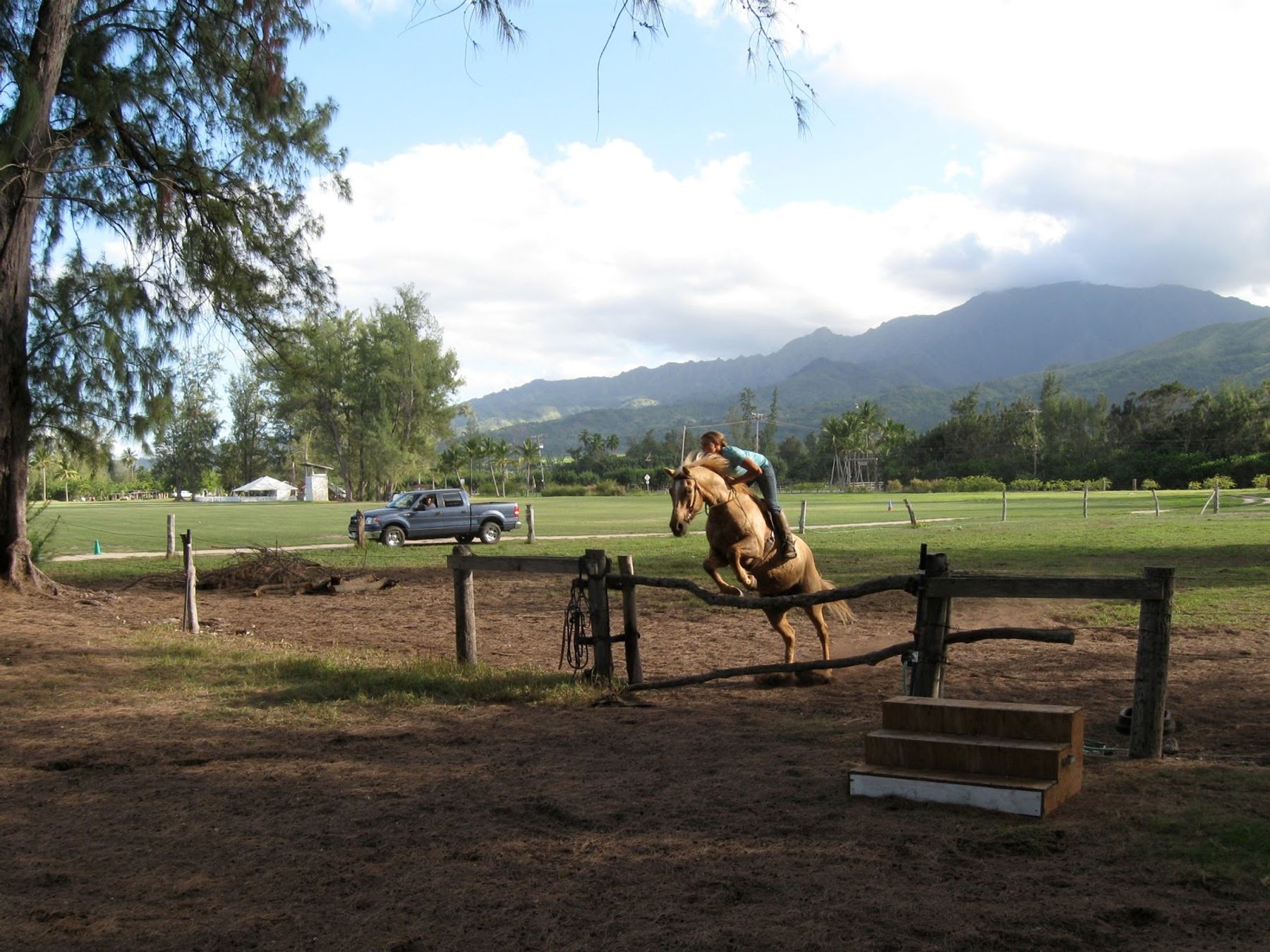 Photo 9 of Hawaii Polo Oceanfront Trail Rides in Waialua & Mokulēʻia, Oahu