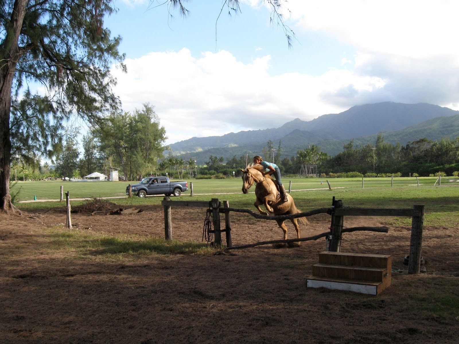 Photo 9 of Hawaii Polo Oceanfront Trail Rides in Waialua & Mokulēʻia, Oahu