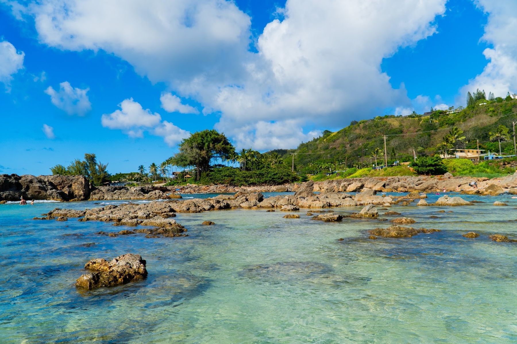 Photo 3 of Shark’s Cove in Pūpūkea, Oahu