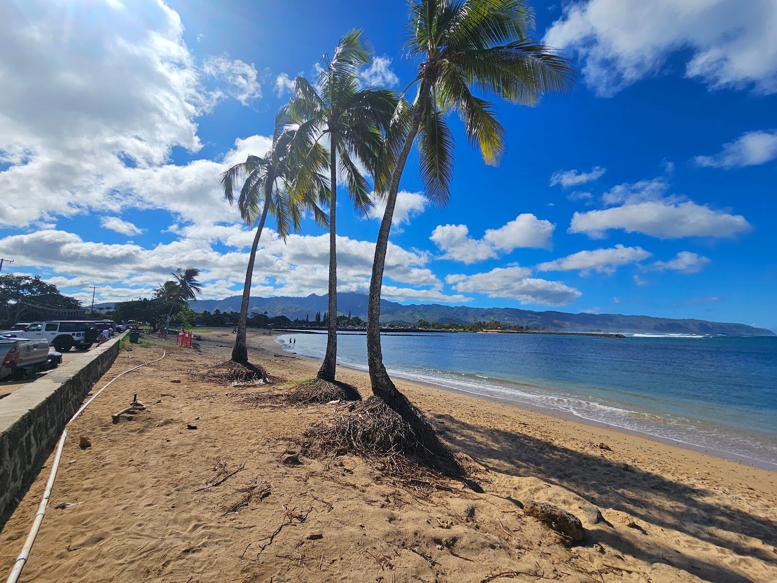 Photo 7 of Haleʻiwa Beach Park in Haleʻiwa, Oahu