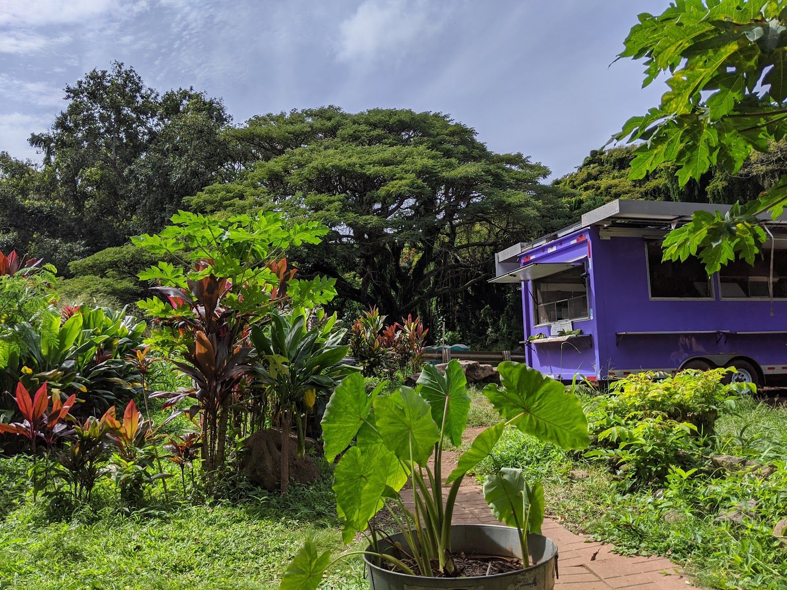 Photo 9 of Honolua Farms Kitchen in Kapalua, Maui