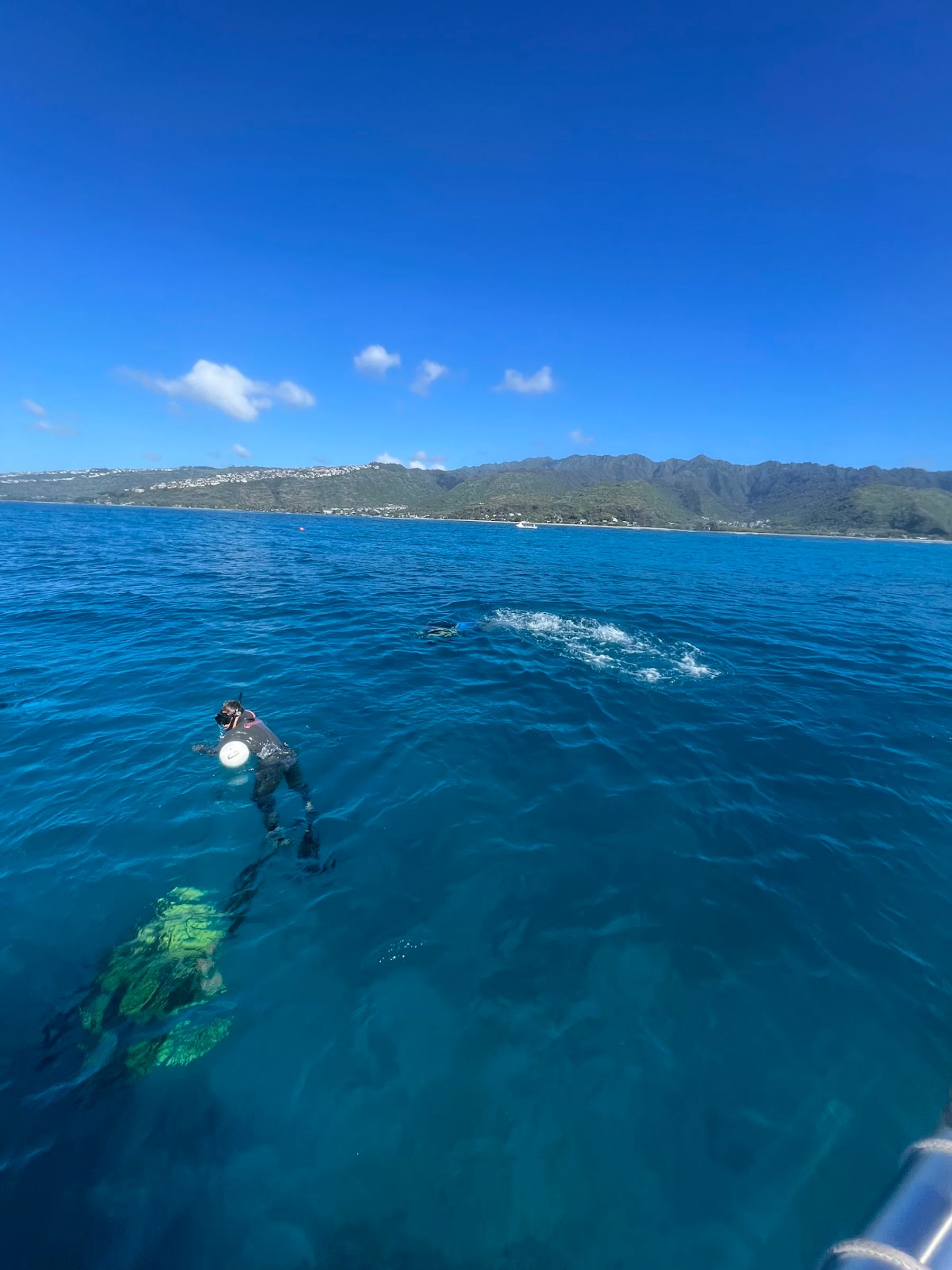 Photo 3 of Island Water Sports Hawaii in Hawaiʻi Kai & East Honolulu, Oahu
