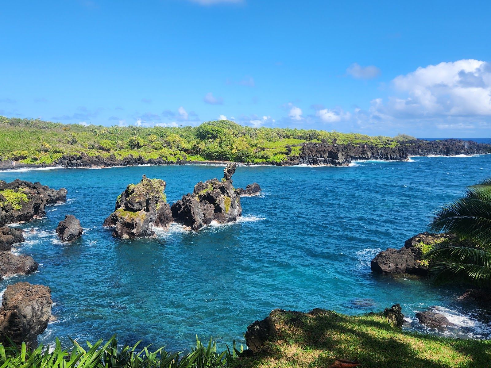 Photo 6 of Aloha Sunshine Tours in Kaimukī & Pālolo, Oahu