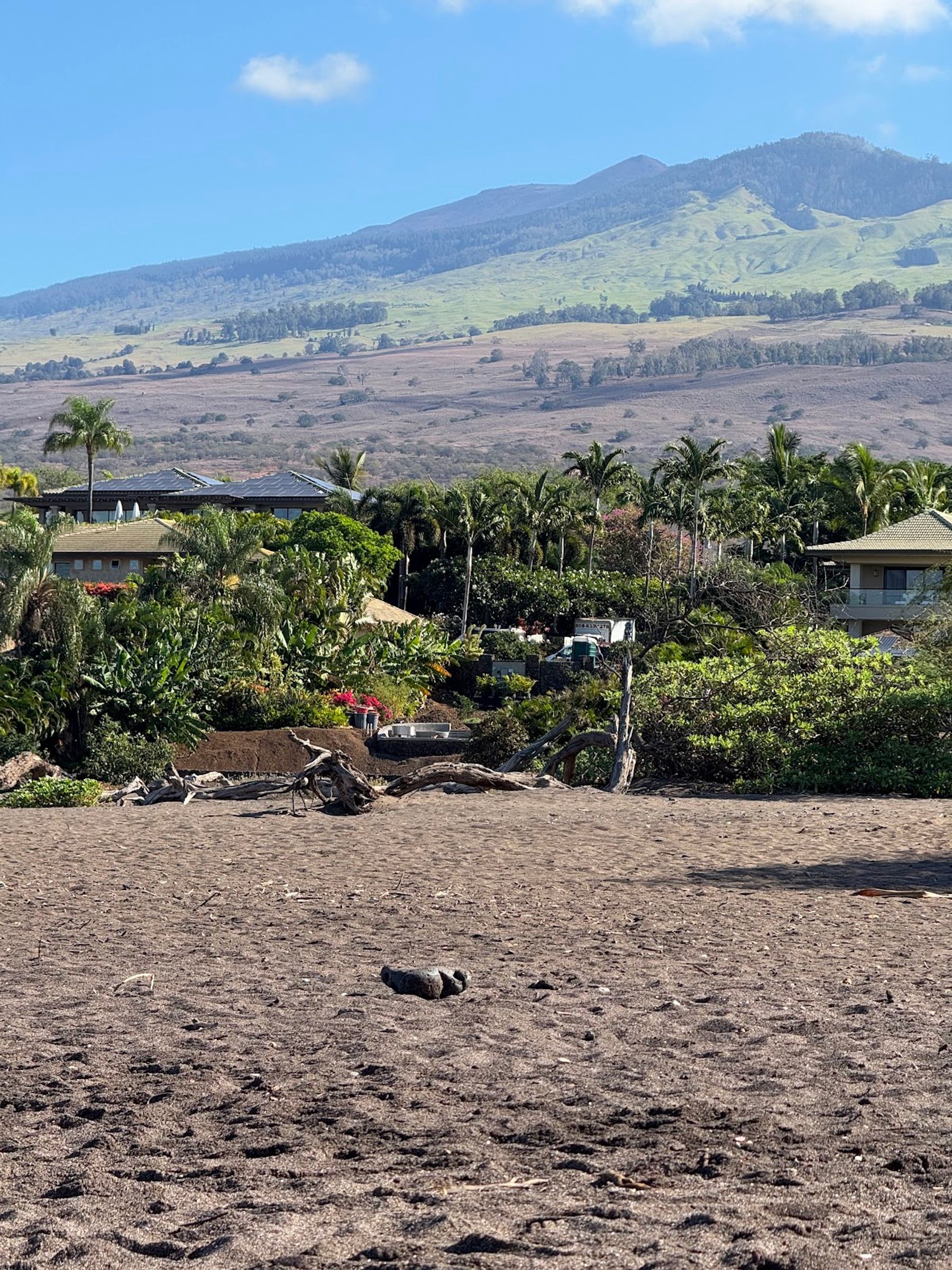Photo 3 of Oneuli Beach in Mākena, Maui
