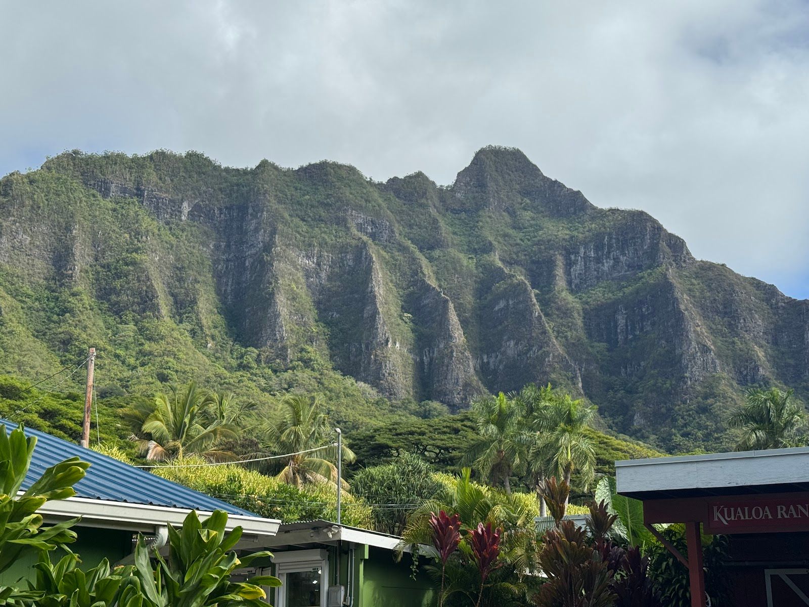 Photo 7 of The Original North Shore Activities Tour in Waikīkī, Oahu
