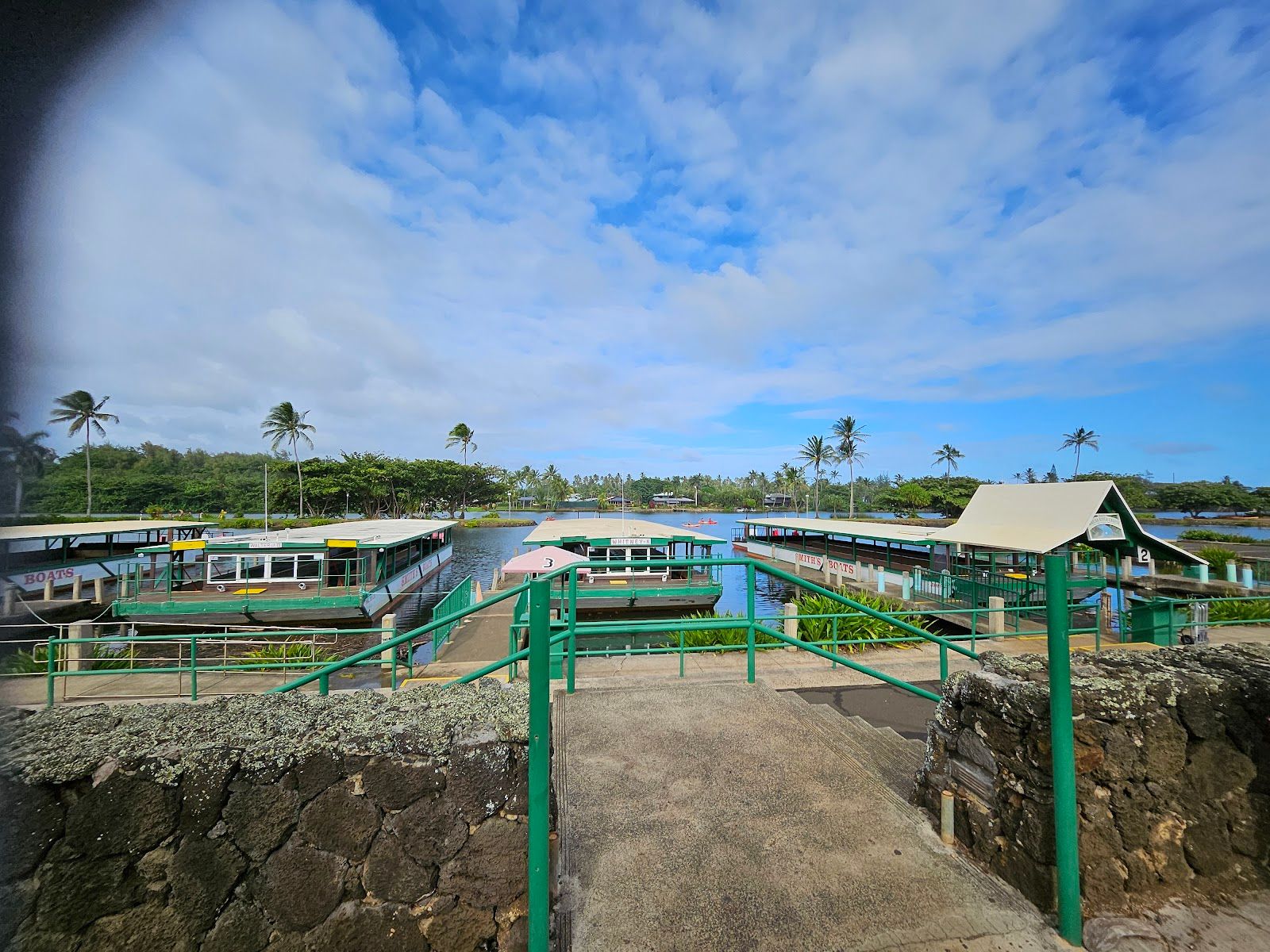 Smith's Fern Grotto Tour in Kapaʻa, Kaua‘i photo 4