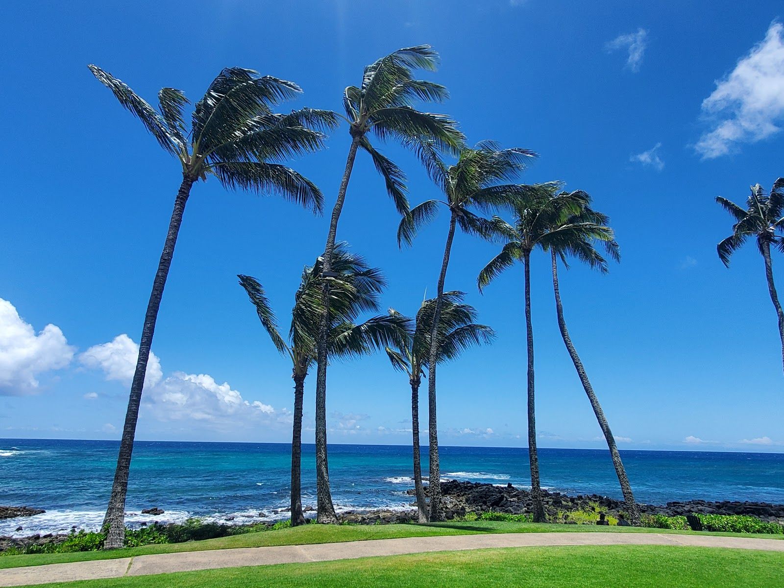 Kiahuna Beach in Poʻipū, Kaua‘i photo 3