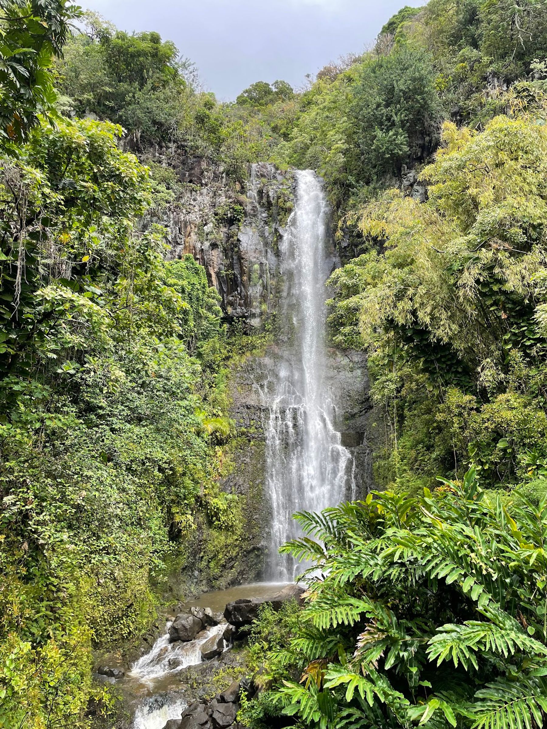 Photo 5 of Pipiwai Trail in Kīpahulu & Kaupō, Maui